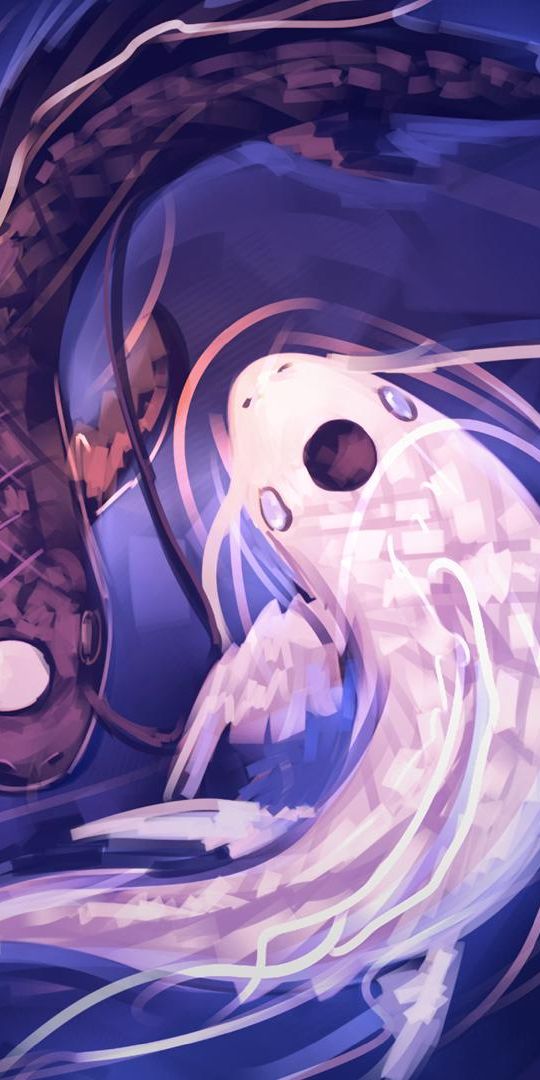 Desktop wallpaper: Tui (Avatar), Avatar: The Last Airbender, Yin & Yang ...
