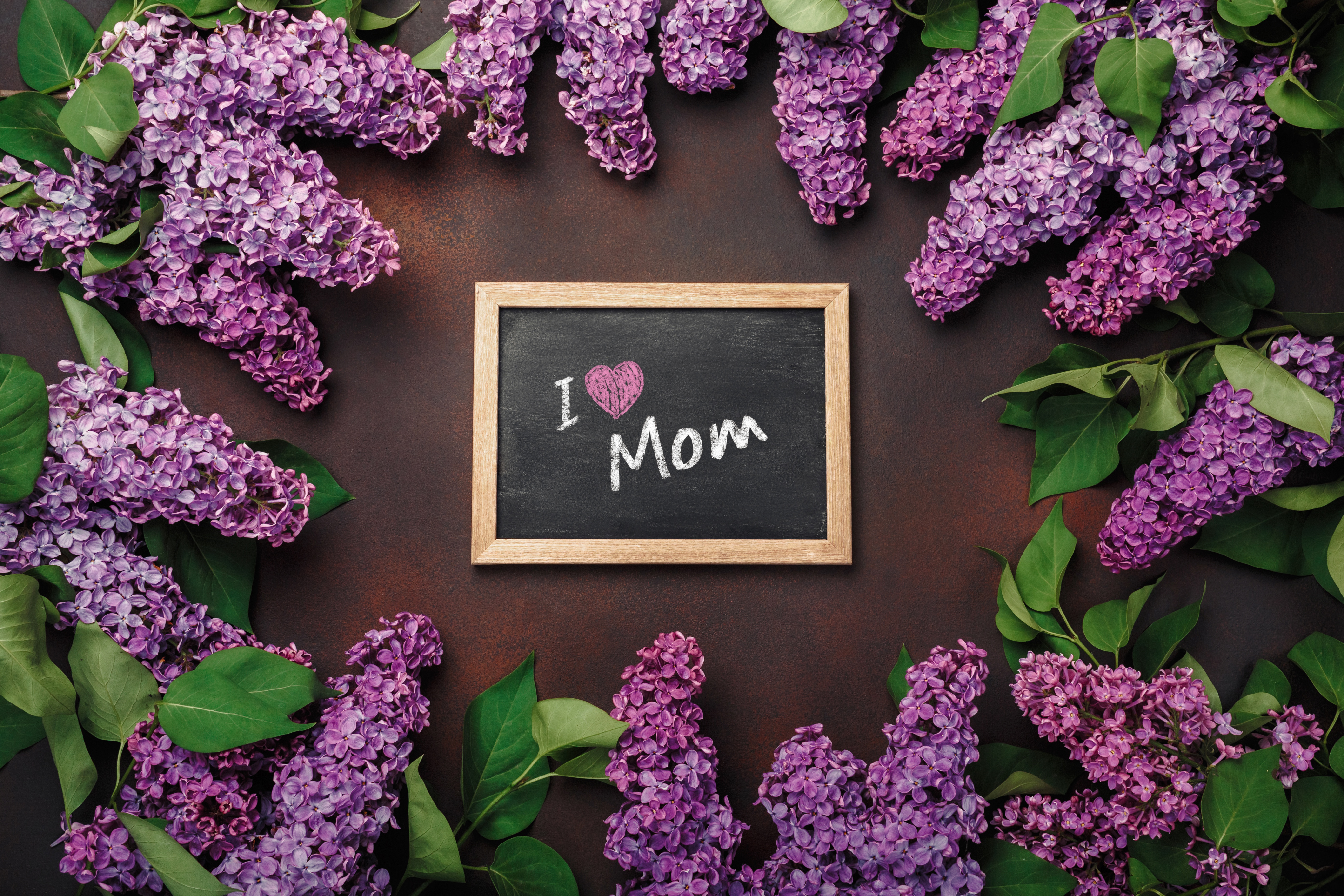 Download mobile wallpaper Lilac, Flower, Holiday, Purple Flower, Mother's Day for free.