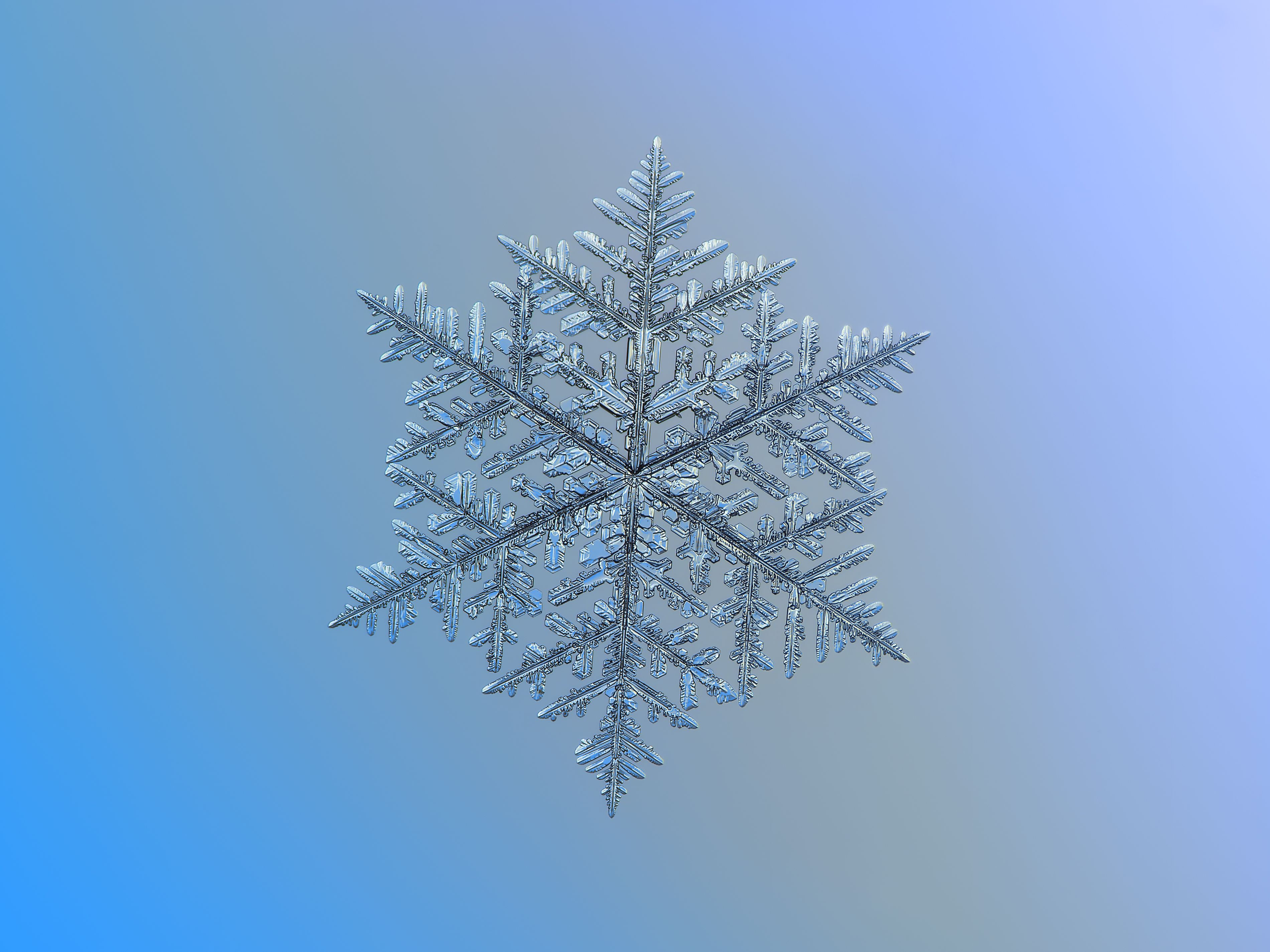 728125 descargar imagen tierra/naturaleza, copo de nieve, cristal, macrofotografía, simetría: fondos de pantalla y protectores de pantalla gratis