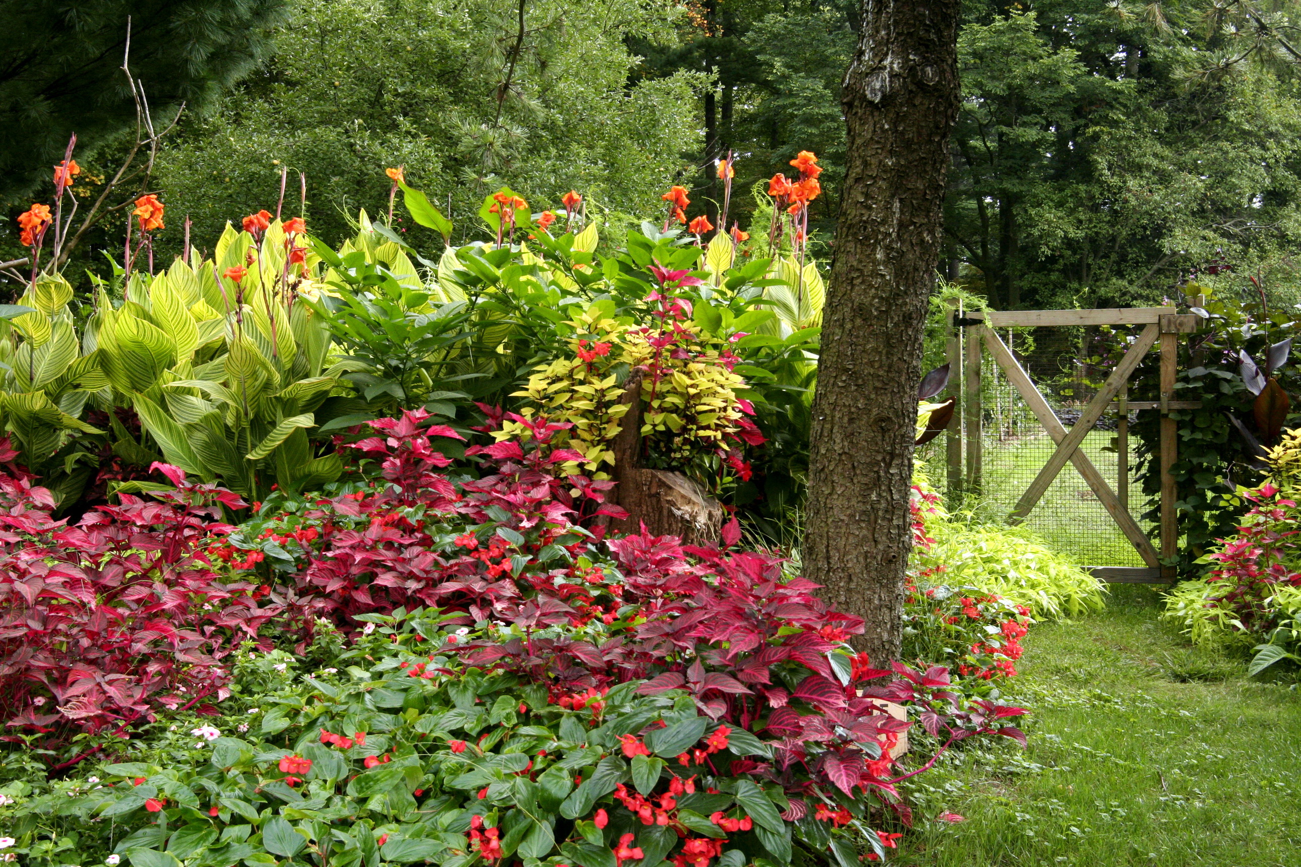 Laden Sie das Garten, Menschengemacht-Bild kostenlos auf Ihren PC-Desktop herunter