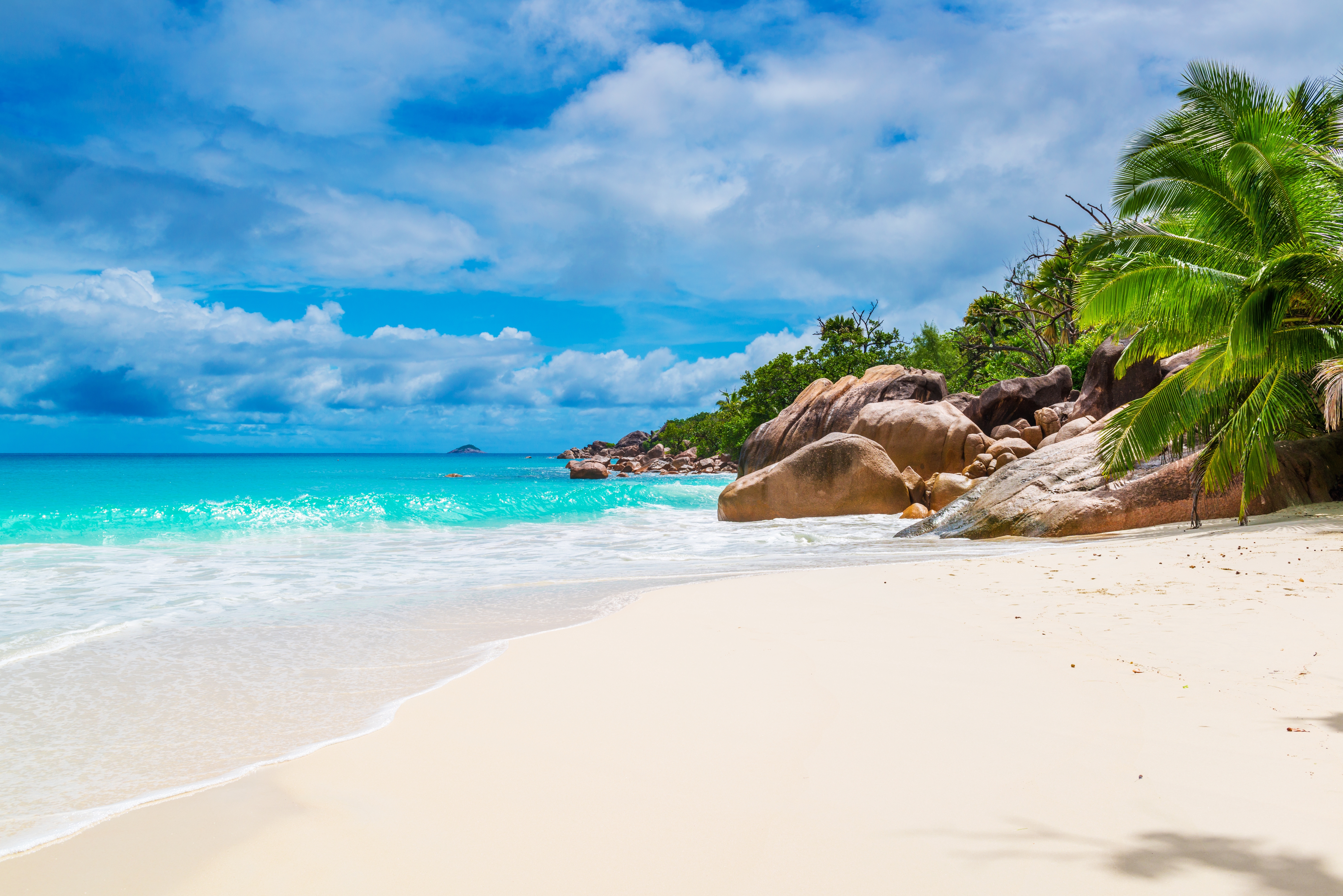 1524817 télécharger le fond d'écran maldives, palmier, les seychelles, plage, océan, tropical, terre/nature, côte, le sable - économiseurs d'écran et images gratuitement