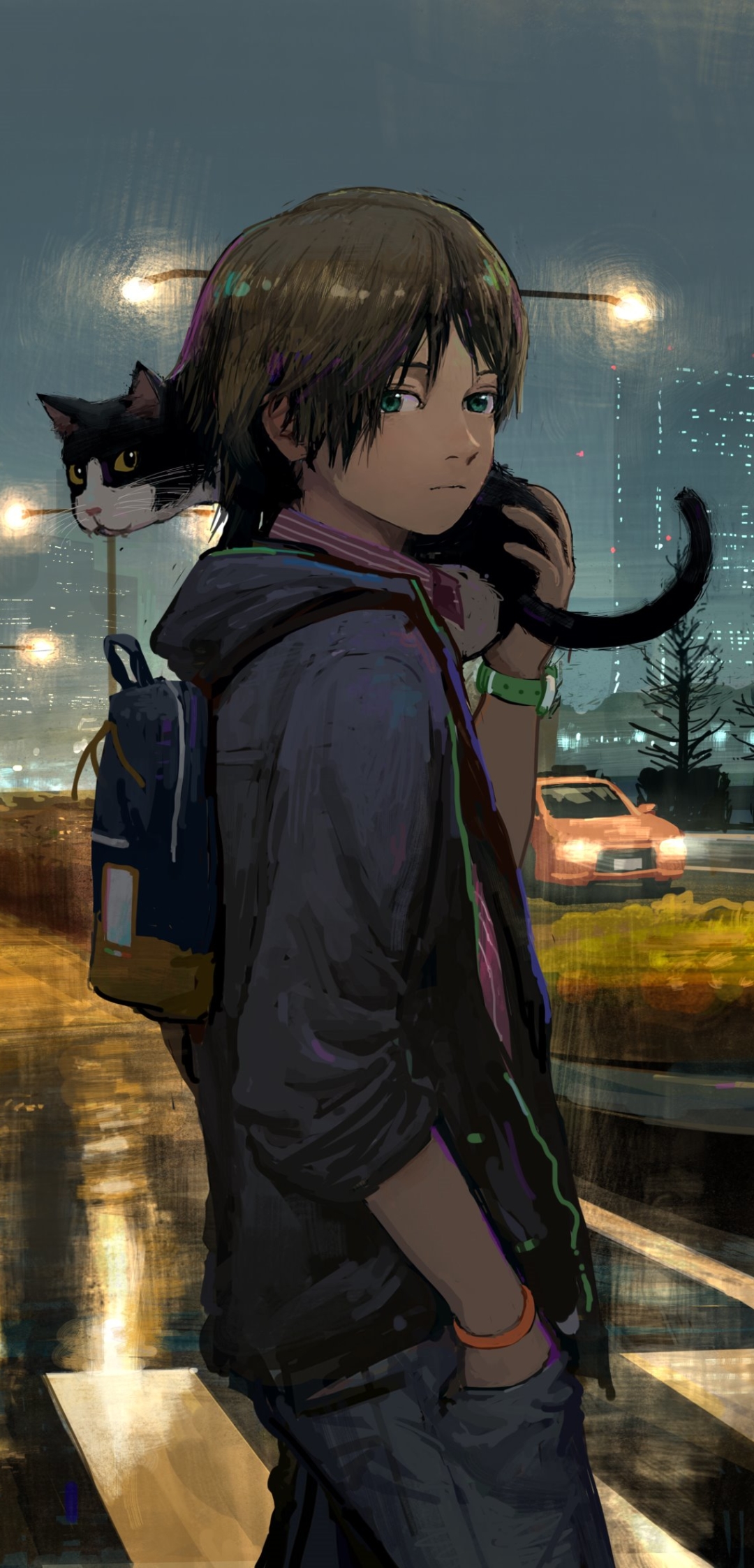 Handy-Wallpaper Katze, Junge, Nacht, Animes kostenlos herunterladen.
