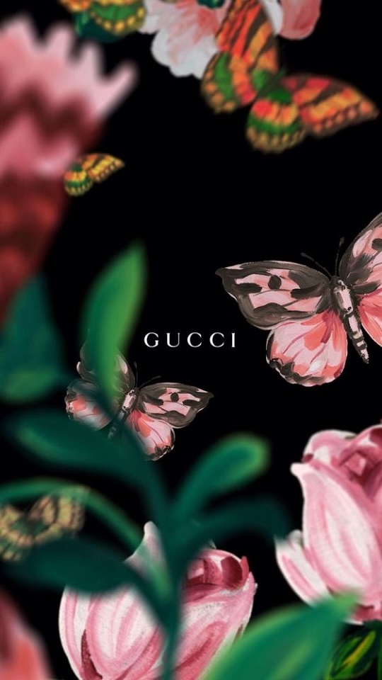 gucci, products, butterfly, rose, flower