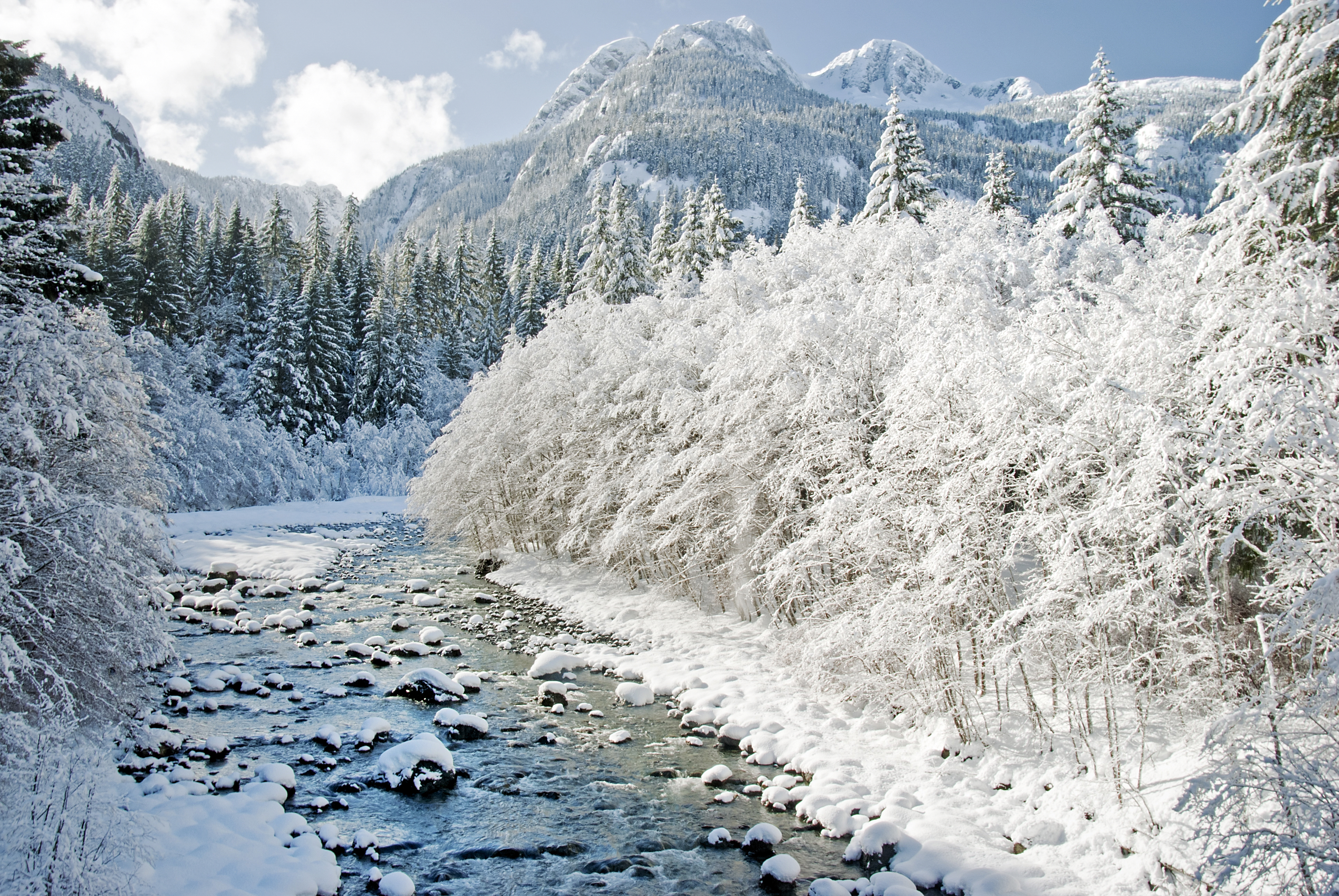 Téléchargez des papiers peints mobile Hiver, Montagne, Forêt, Arbre, Terre/nature, Rivière, Neiger gratuitement.