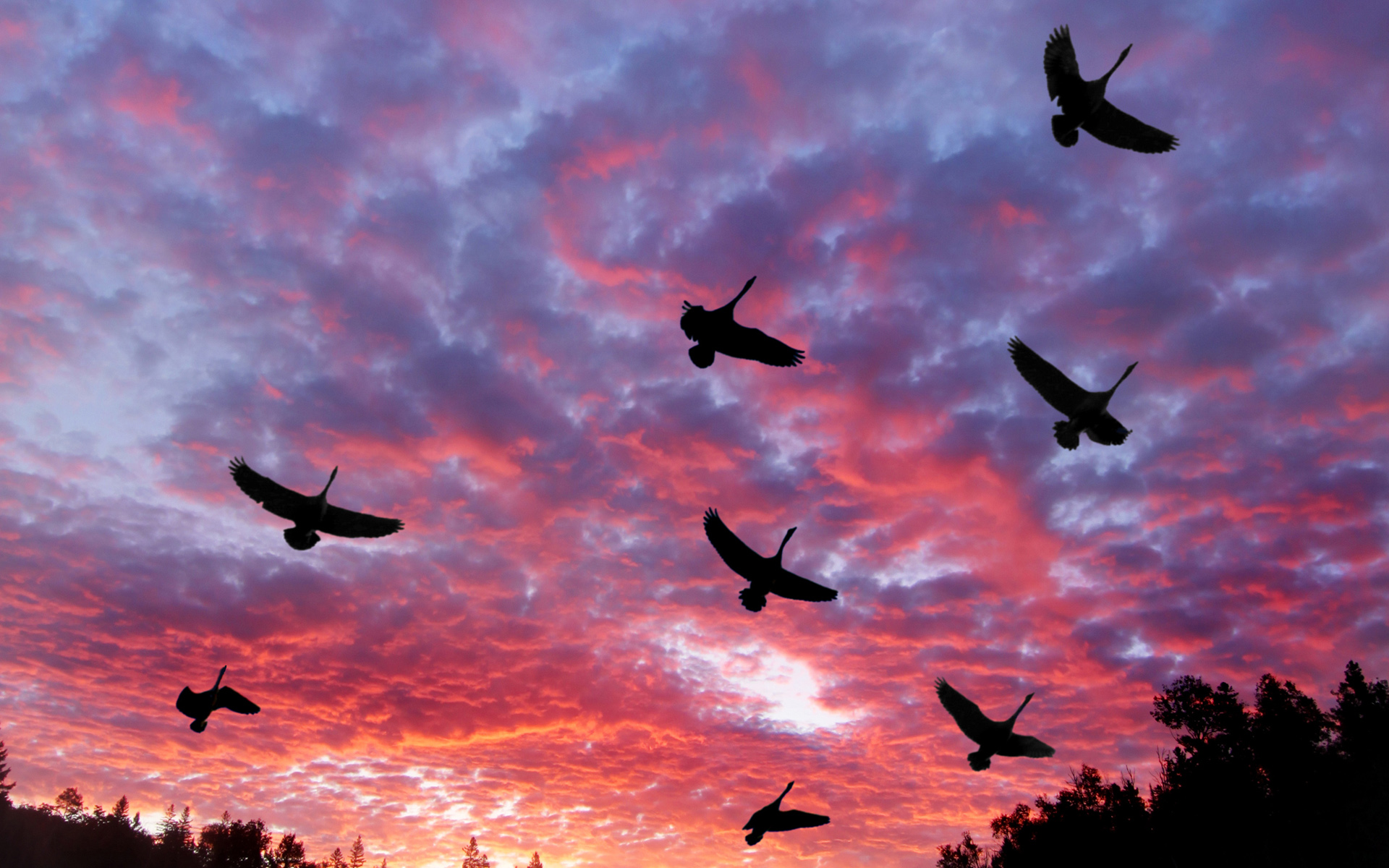 Descarga gratis la imagen Cielo, Tierra/naturaleza en el escritorio de tu PC