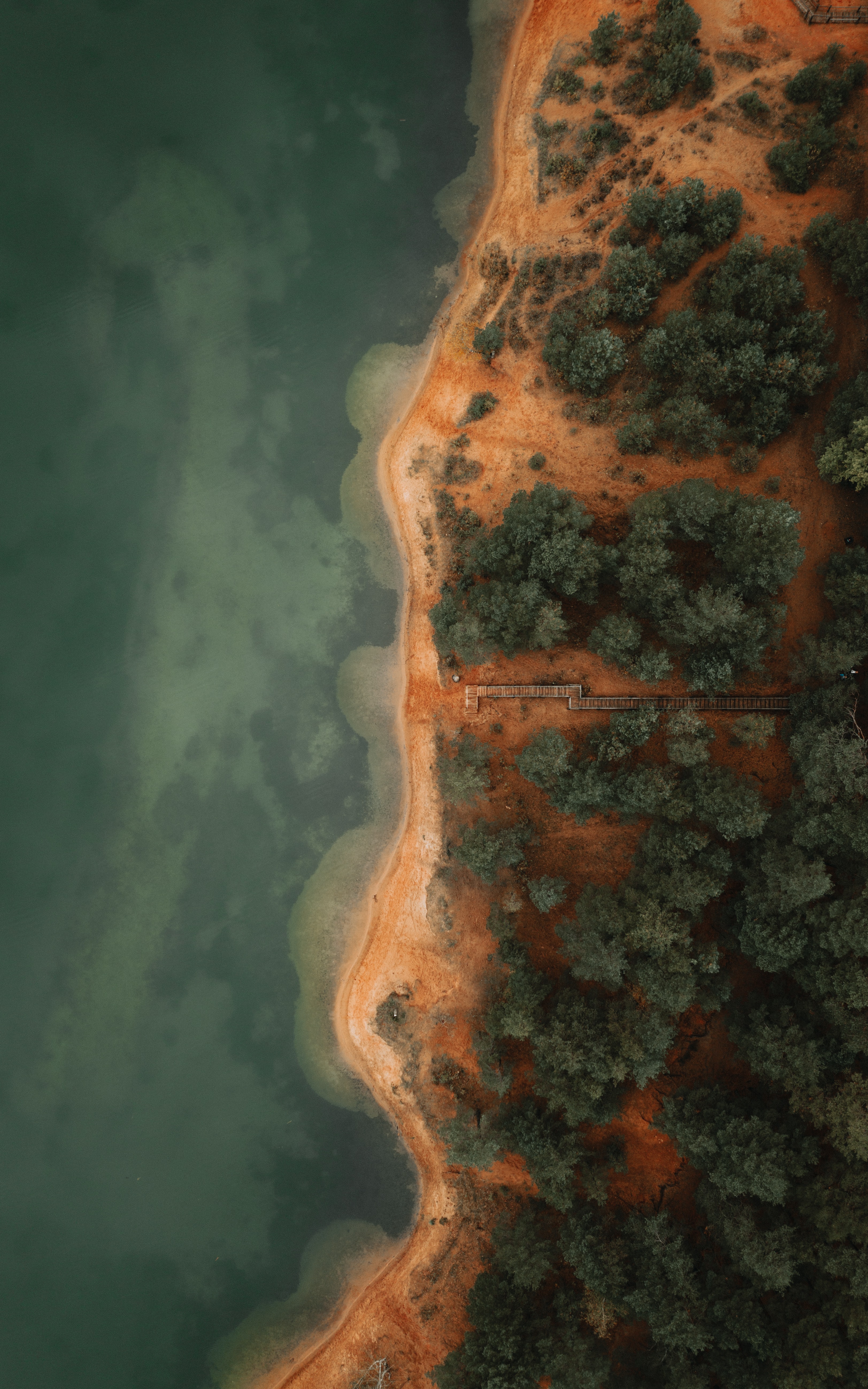 Free download wallpaper Coast, Trees, View From Above, Nature, Beach on your PC desktop