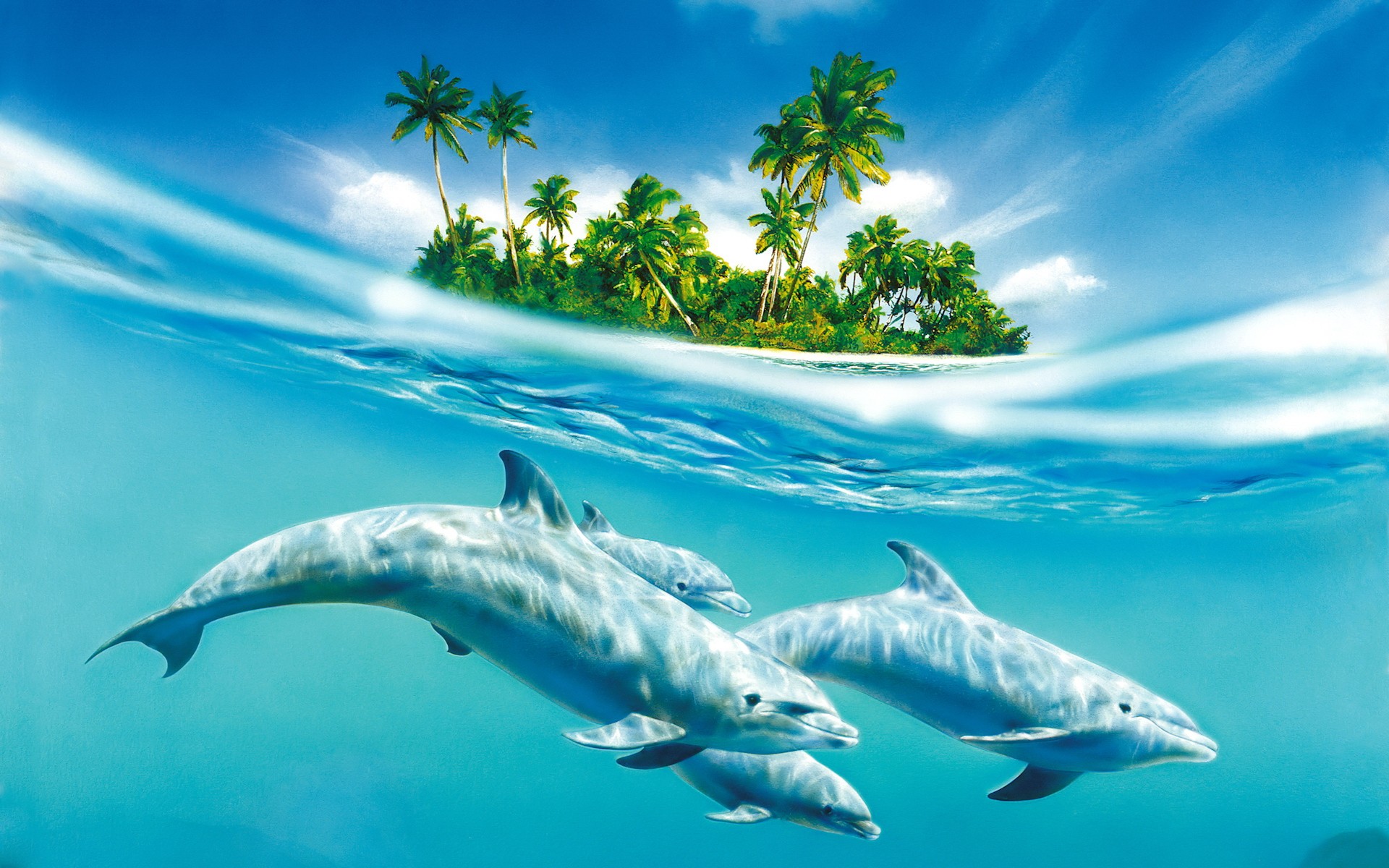 Descarga gratis la imagen Delfin, Animales en el escritorio de tu PC