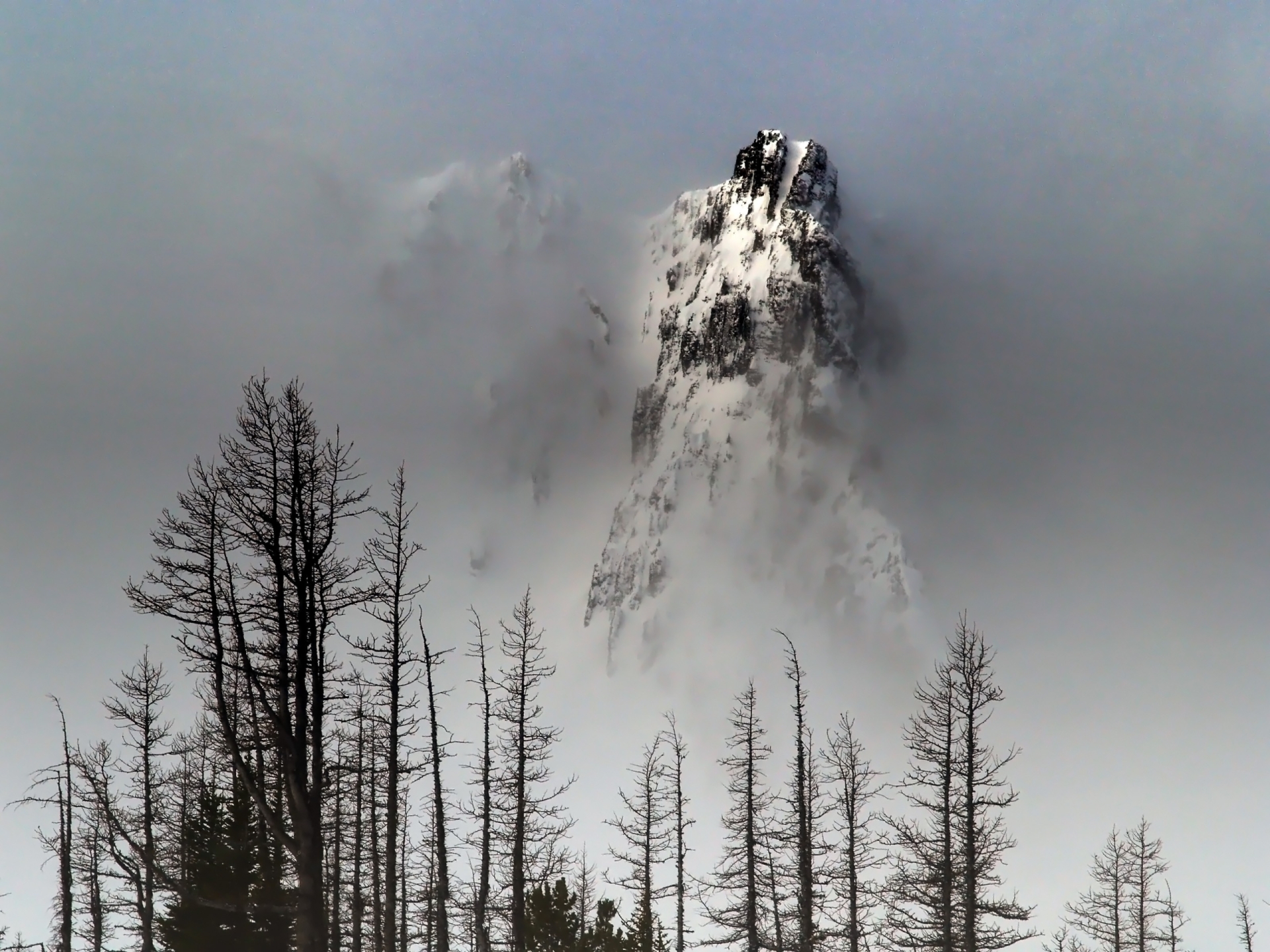 Laden Sie das Nebel, Erde/natur-Bild kostenlos auf Ihren PC-Desktop herunter