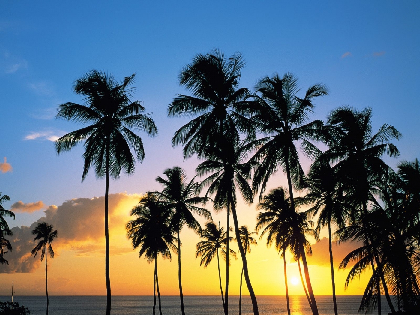 Free download wallpaper Nature, Sunset, Landscape, Palms on your PC desktop