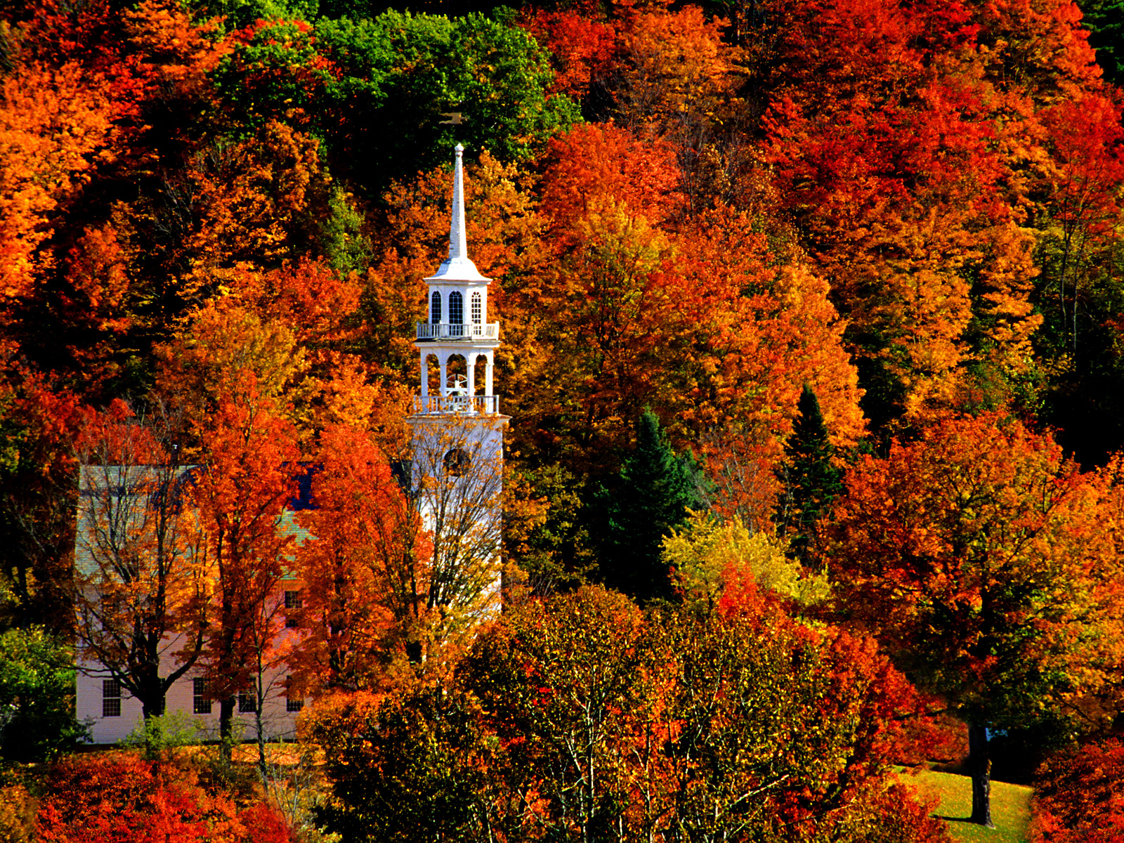 Download mobile wallpaper Forest, Tree, Fall, Church, Churches, Religious for free.