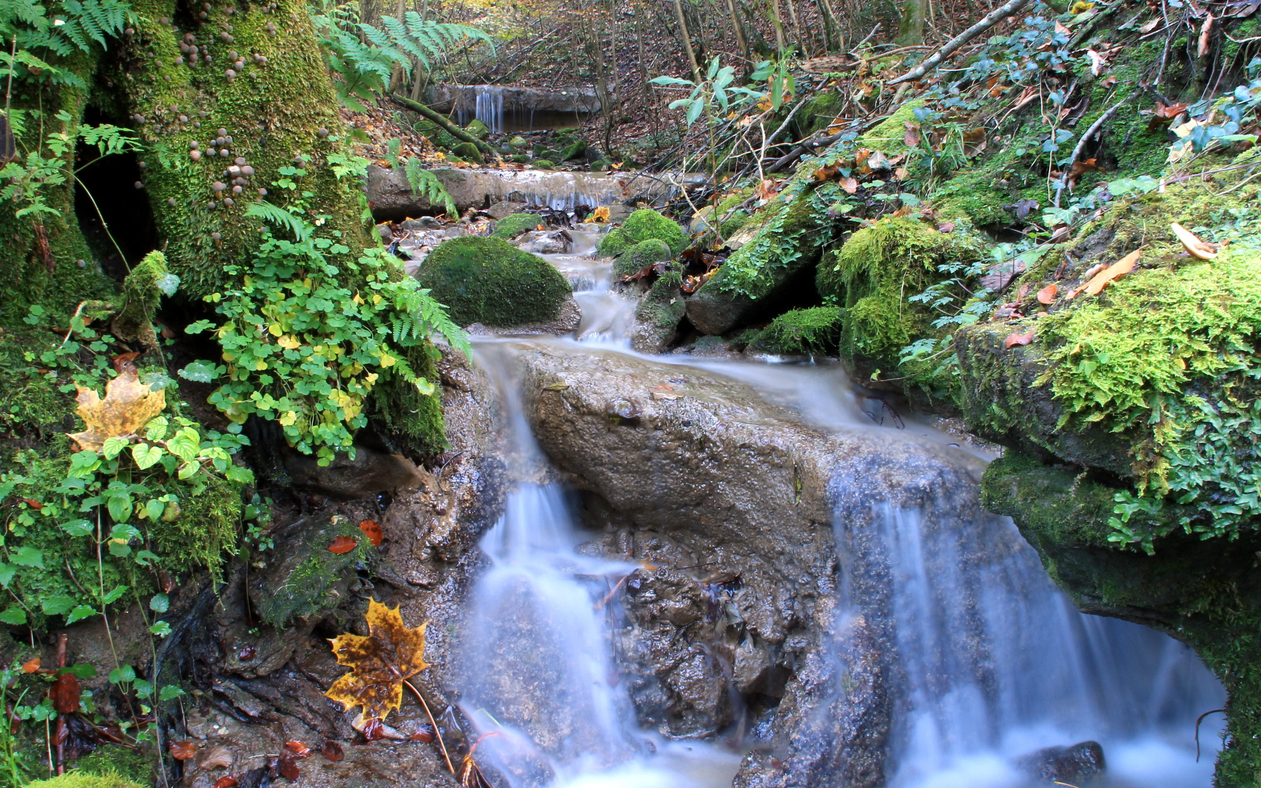 Descarga gratis la imagen Chorro, Tierra/naturaleza en el escritorio de tu PC