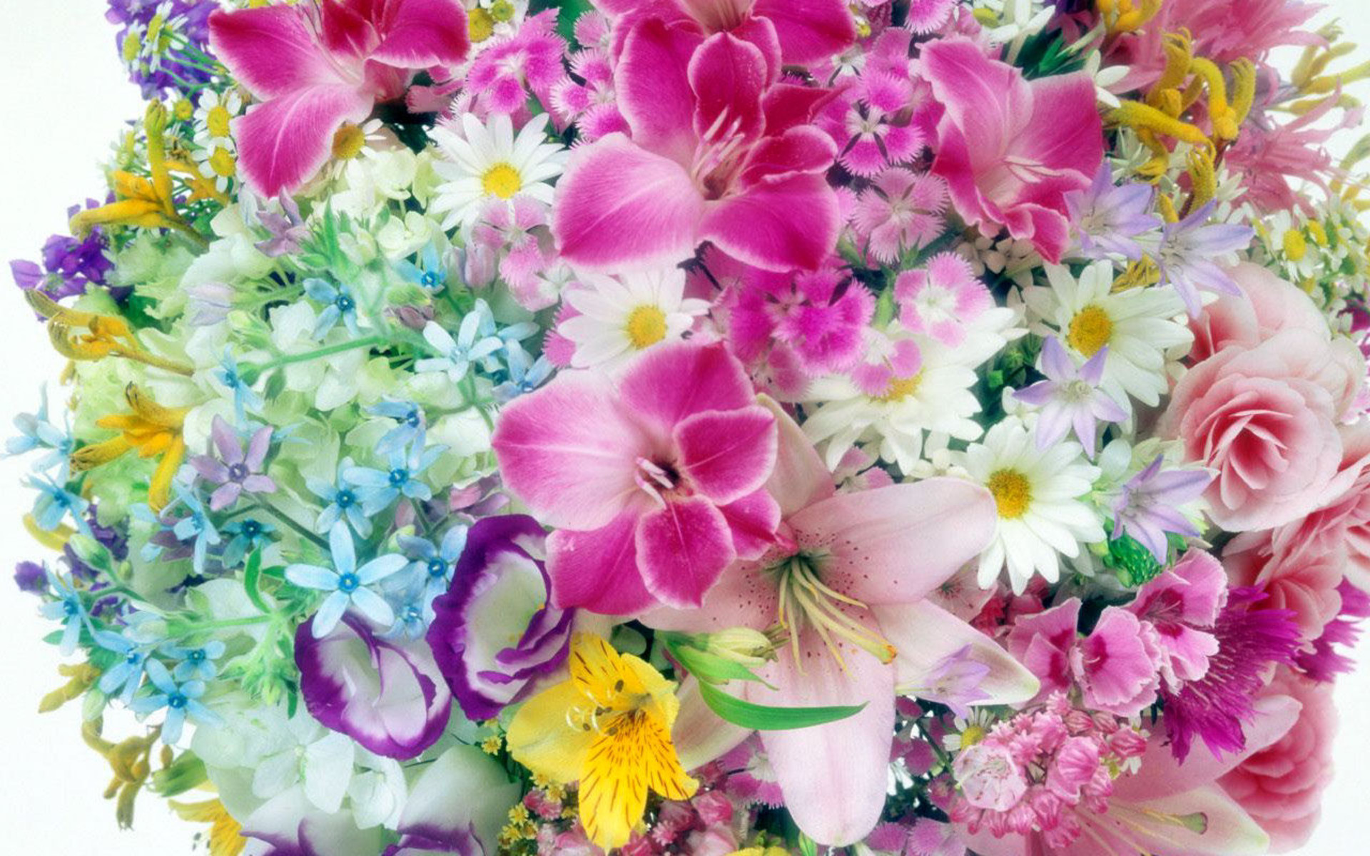 Download mobile wallpaper Flowers, Flower, Artistic for free.