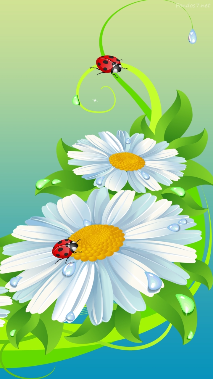 Descarga gratuita de fondo de pantalla para móvil de Mariquita, Primavera, Artístico, Margarita, Flor Blanca.