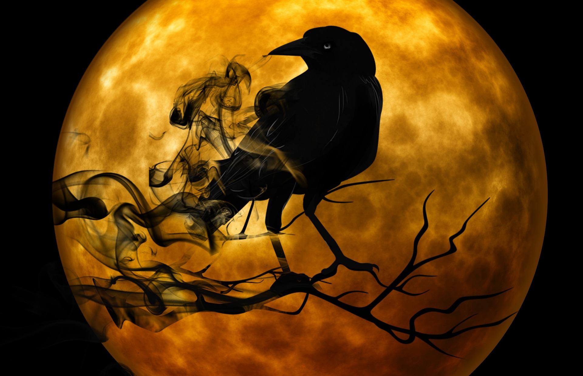 Download mobile wallpaper Moon, Dark, Animal, Raven, Crow for free.