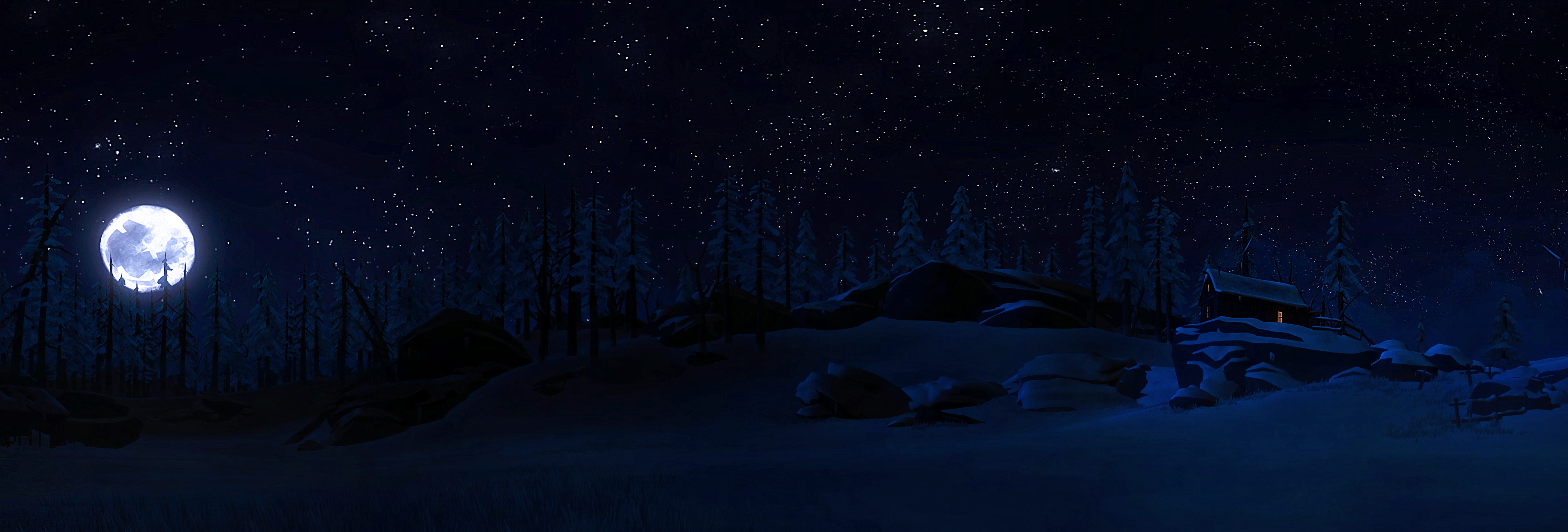 video game, the long dark, cabin, forest, moon, night, snow, stars, winter, wood