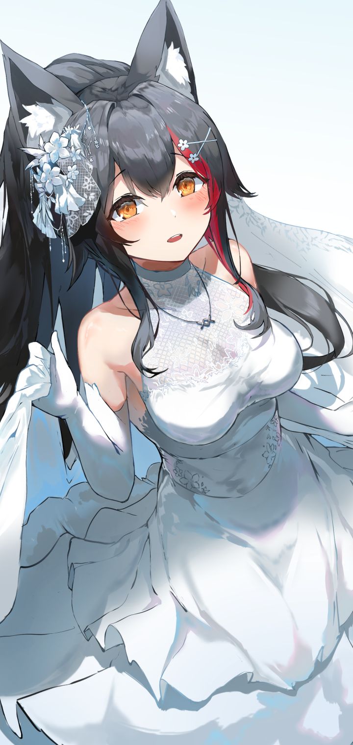 Download mobile wallpaper Anime, Bride, Animal Ears, Virtual Youtuber, Hololive, Ookami Mio for free.