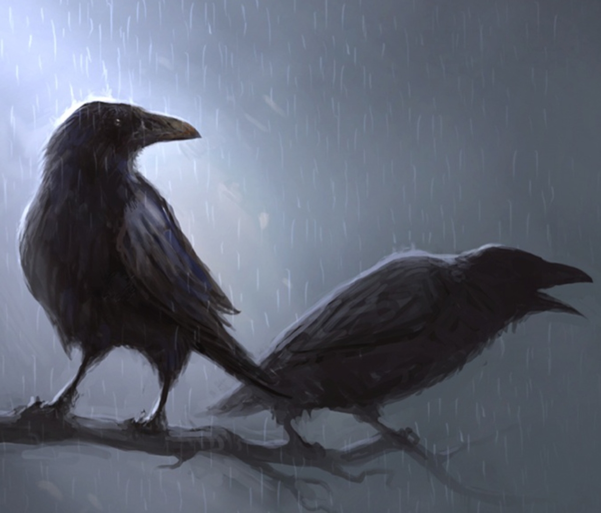 Free download wallpaper Bird, Animal, Raven, Crow on your PC desktop