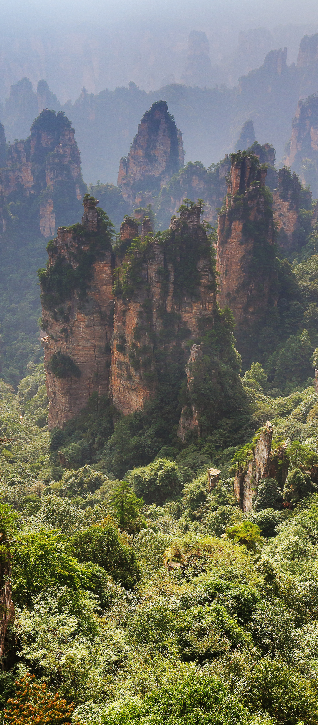 Скачати мобільні шпалери Скеля, Ліс, Земля, Китай, Хунань безкоштовно.