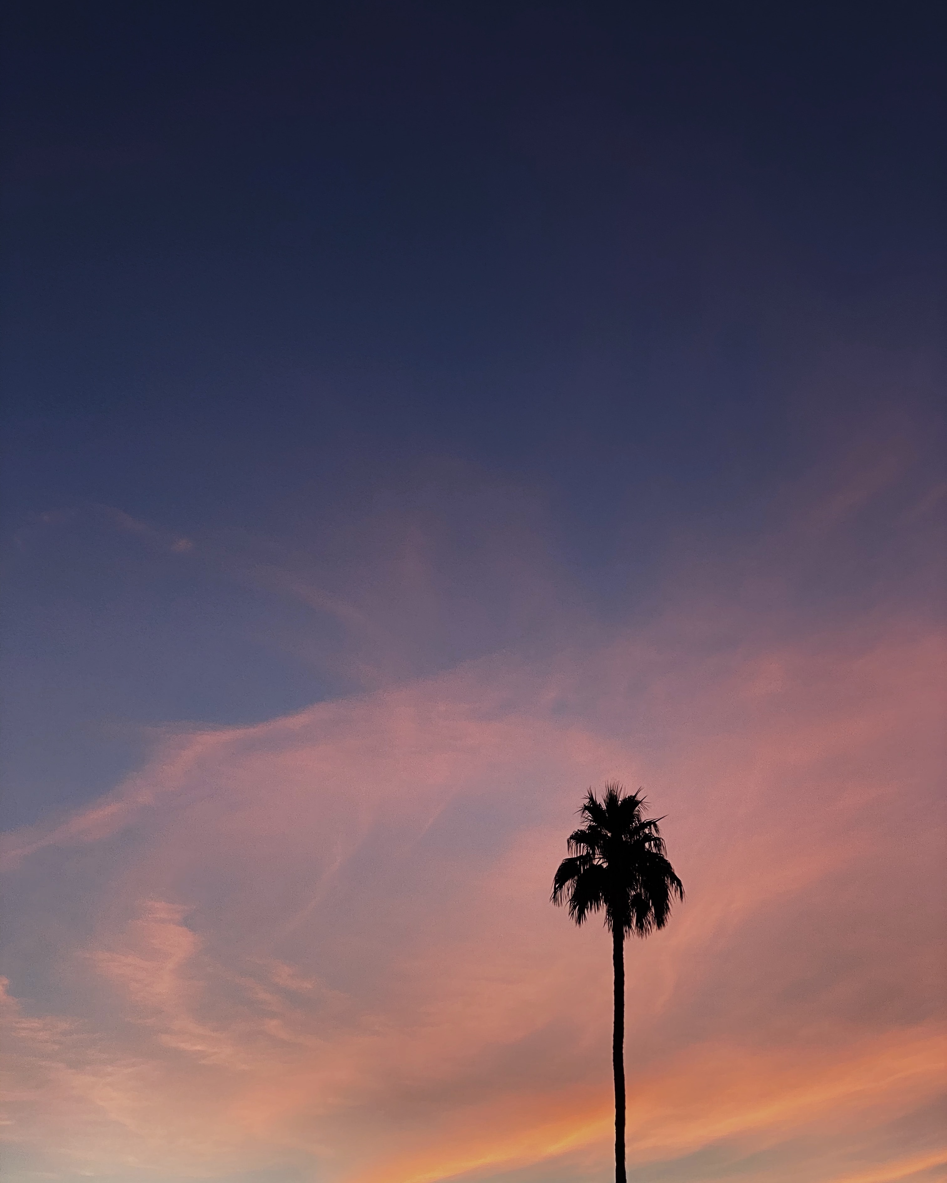 Download mobile wallpaper Wood, Clouds, Tree, Sky, Palm, Nature for free.