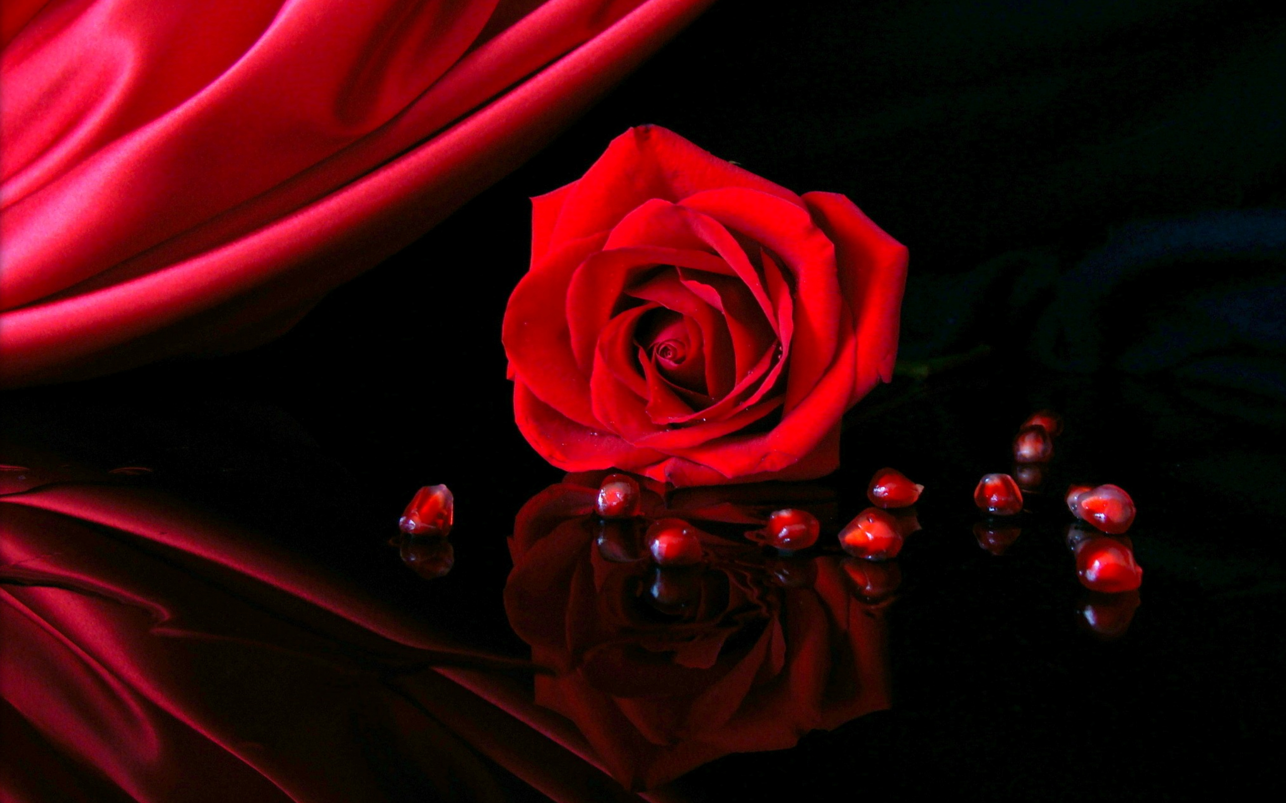 Скачать обои бесплатно Отражение, Цветок, Роза, Красная Роза, Земля/природа, Флауэрсы картинка на рабочий стол ПК