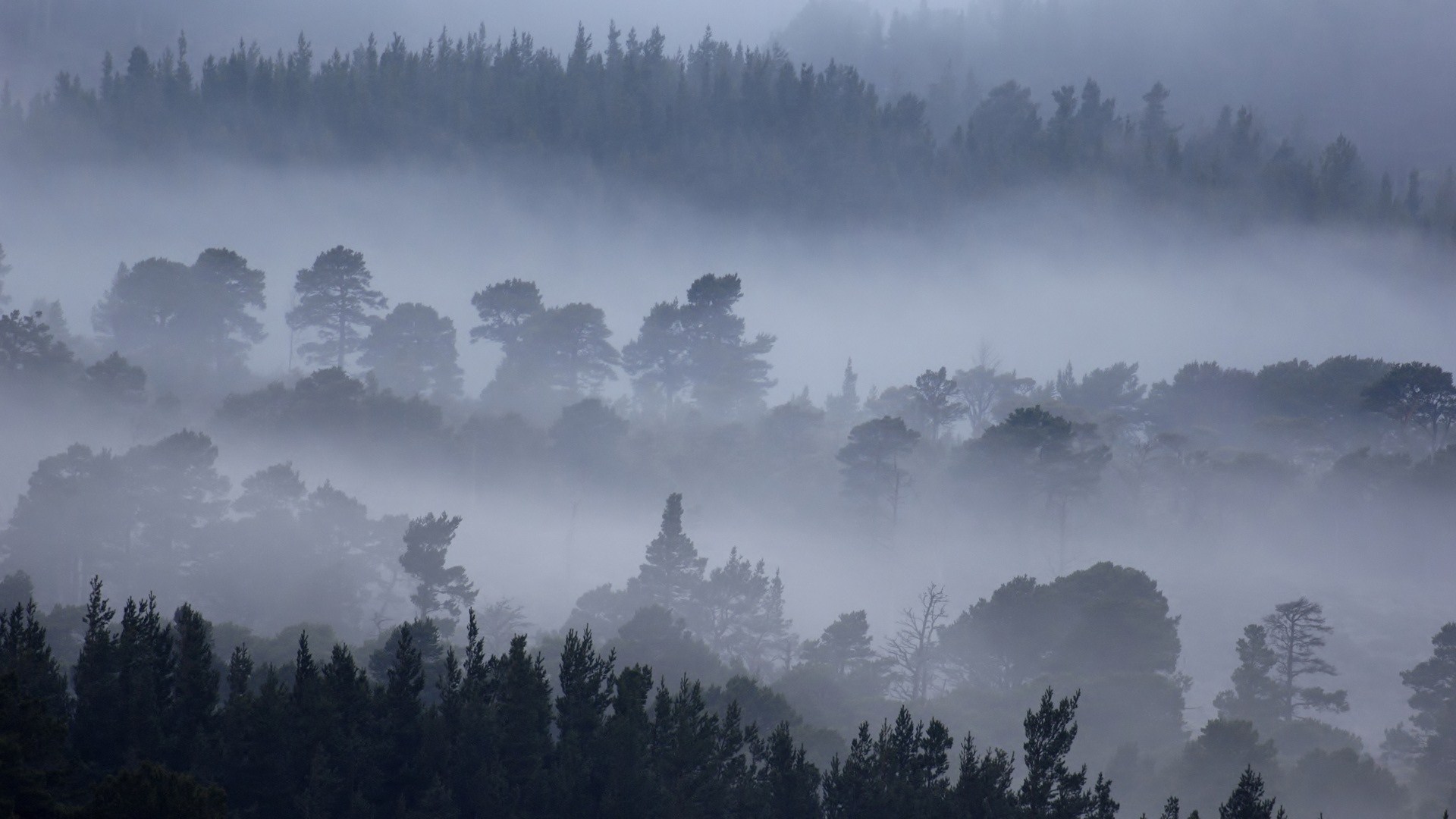 Free download wallpaper Fog, Earth on your PC desktop