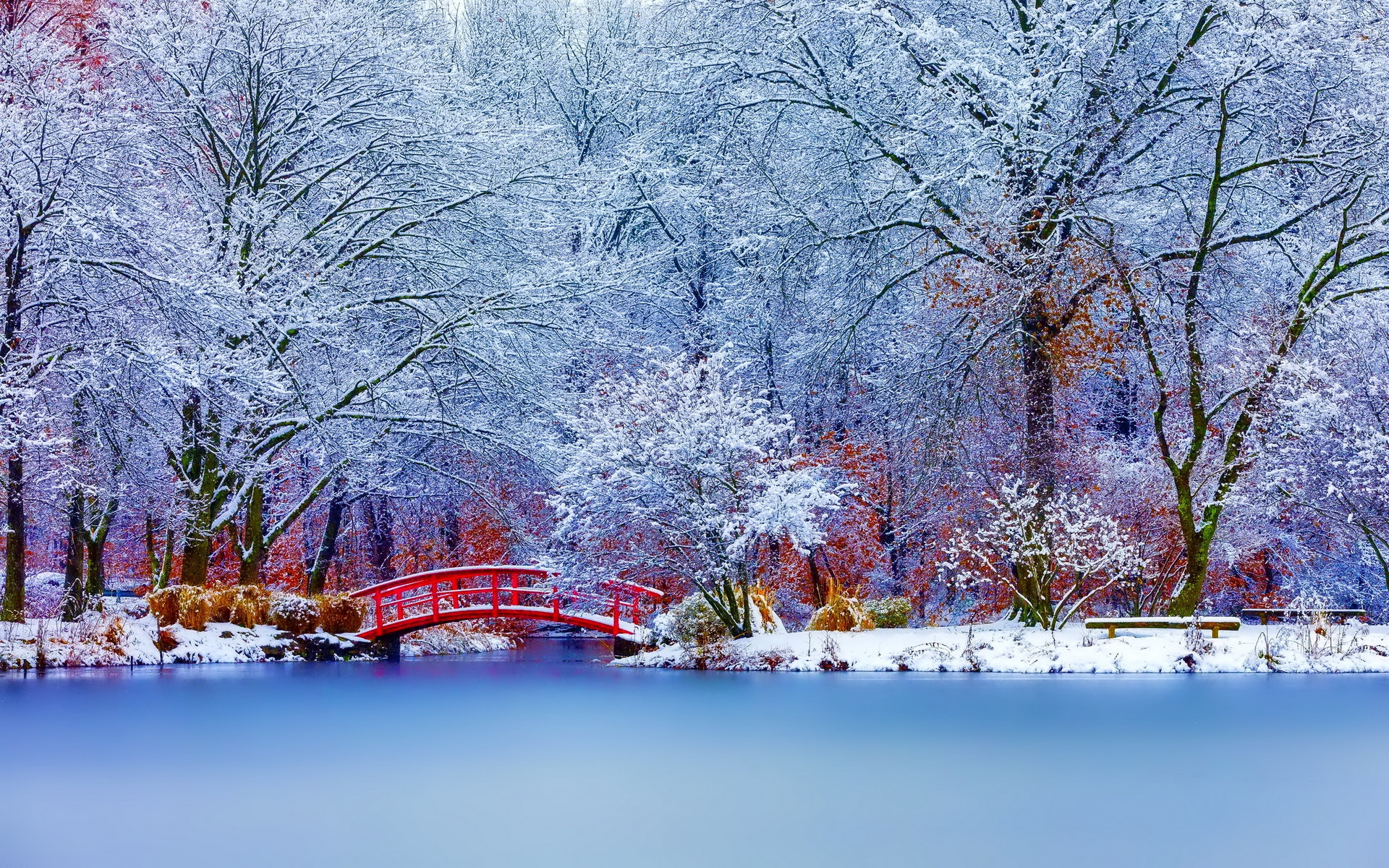 Скачать картинку Зима, Снег, Озеро, Парк, Дерево, Фотографии, Невеста в телефон бесплатно.