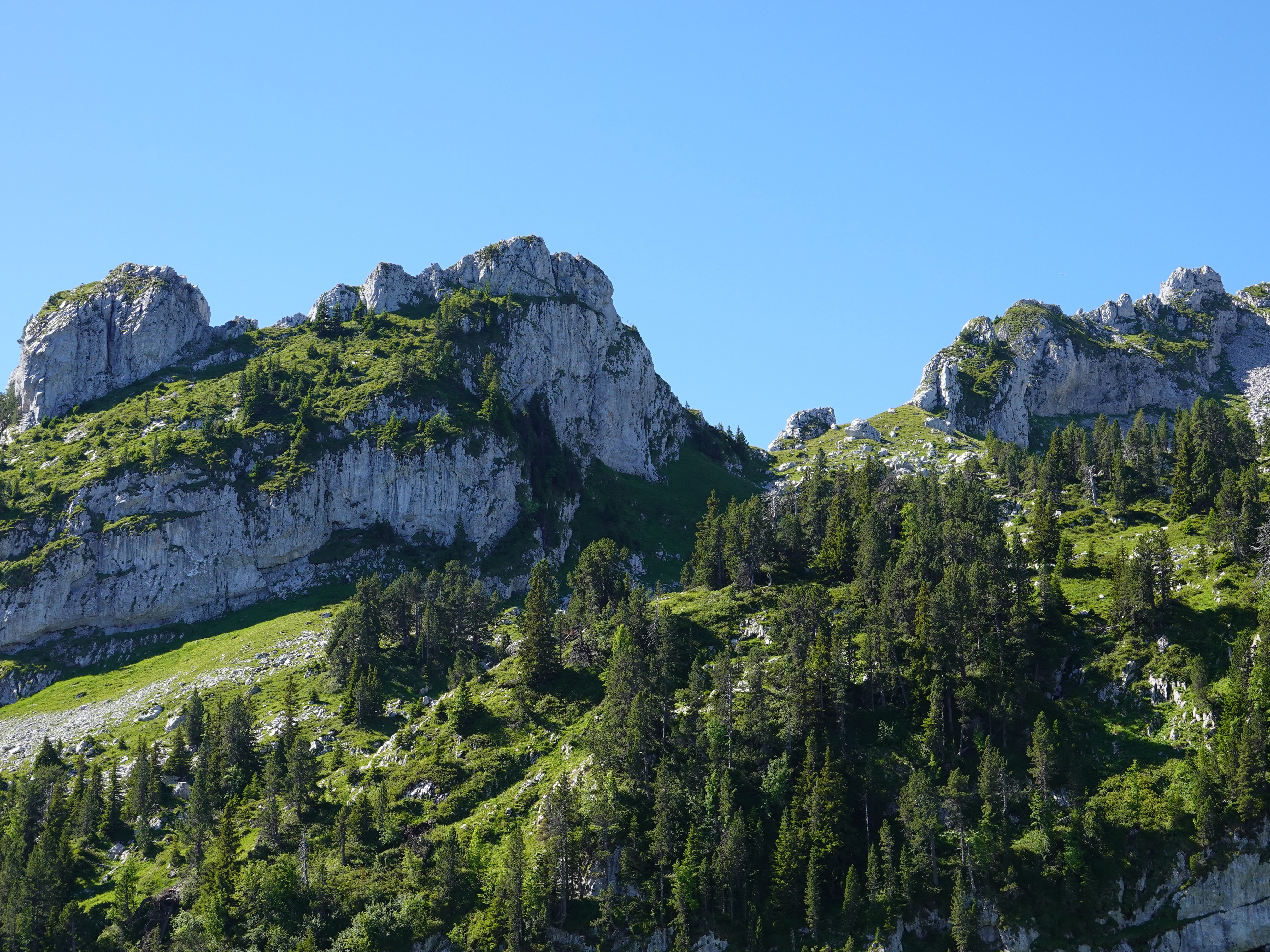 Free HD mountain, nature, trees, rocks