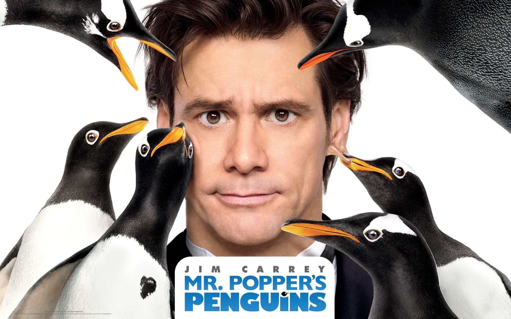 562095 télécharger le fond d'écran film, m popper et ses pingouins, jim carrey - économiseurs d'écran et images gratuitement