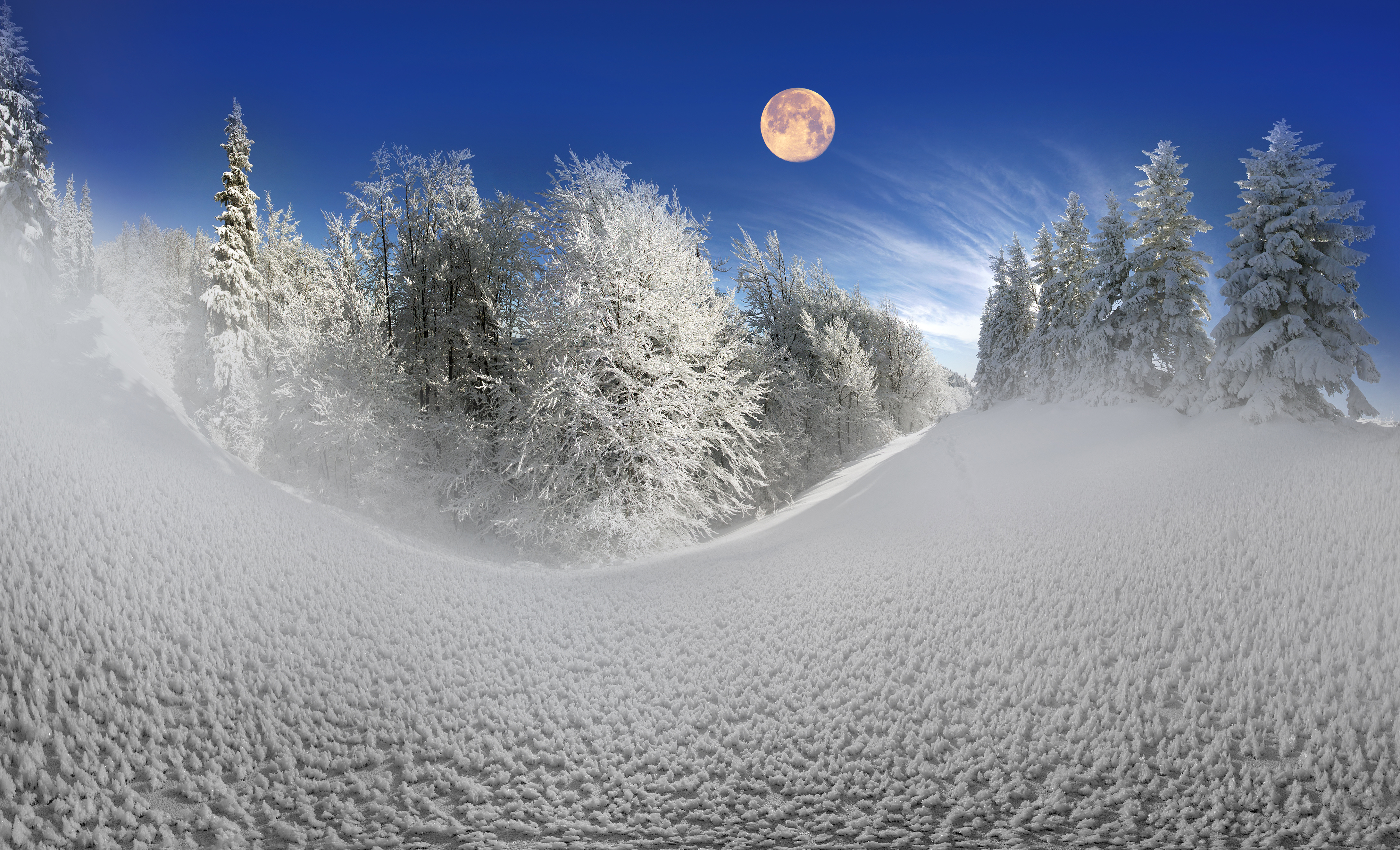 Download mobile wallpaper Winter, Moon, Snow, Forest, Earth for free.