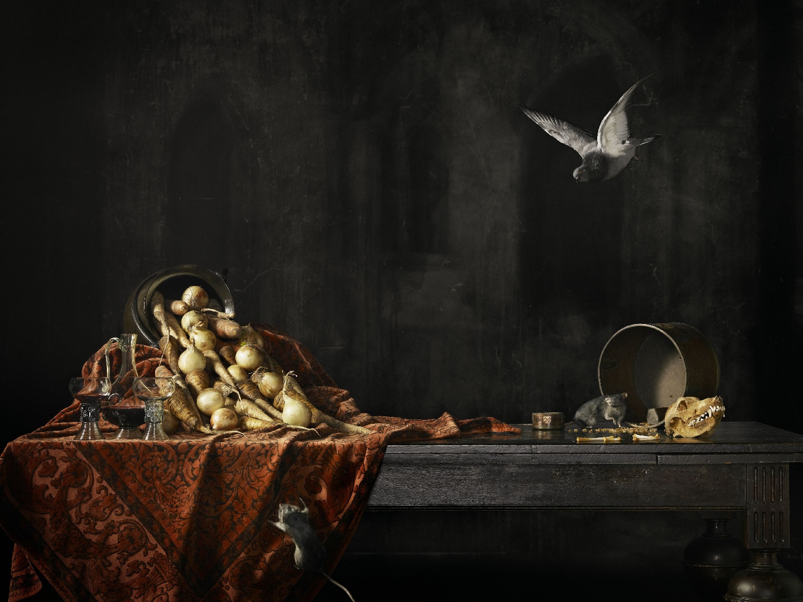 Download mobile wallpaper Still Life, Food, Bird, Artistic for free.