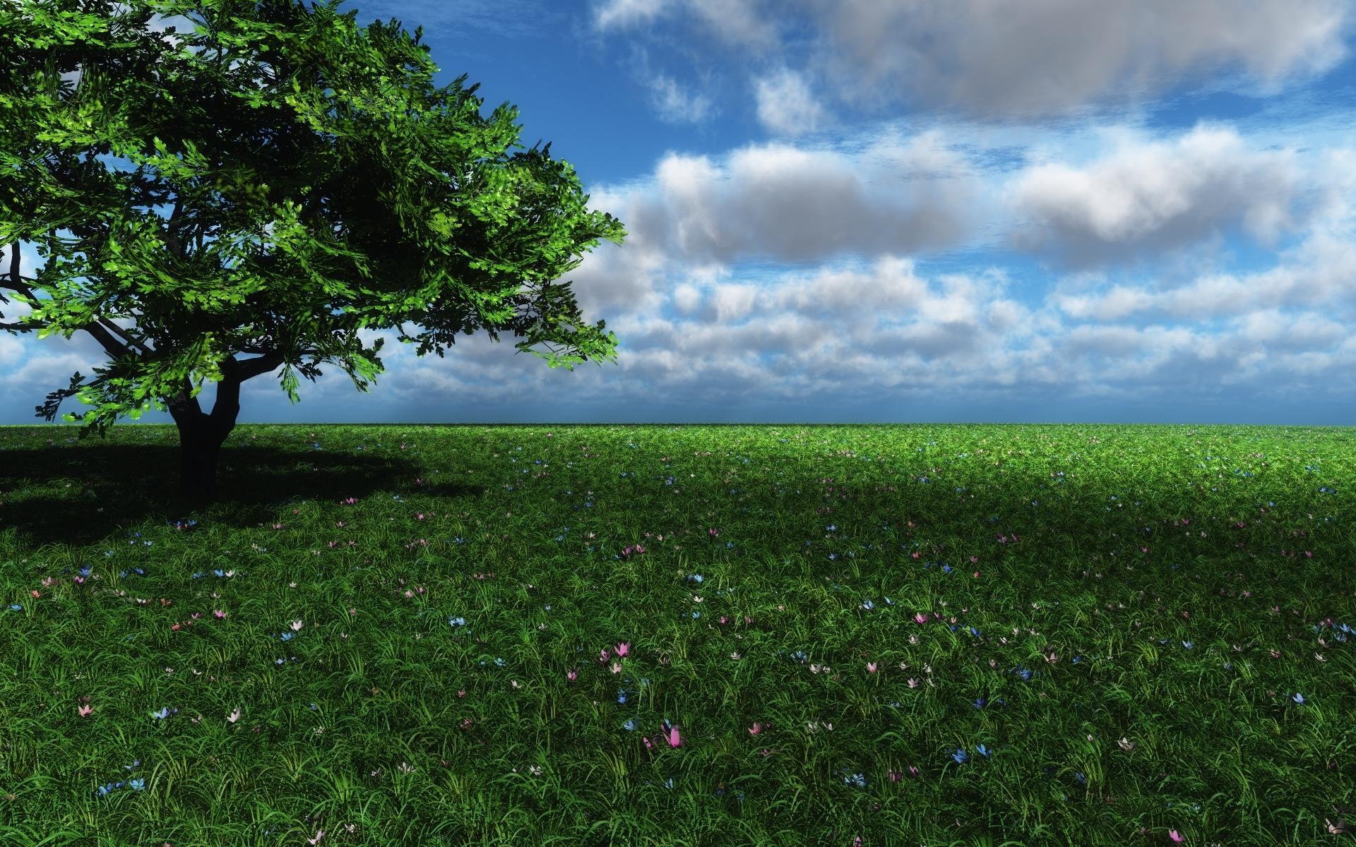 Free download wallpaper Trees, Flower, Tree, Earth, Field on your PC desktop