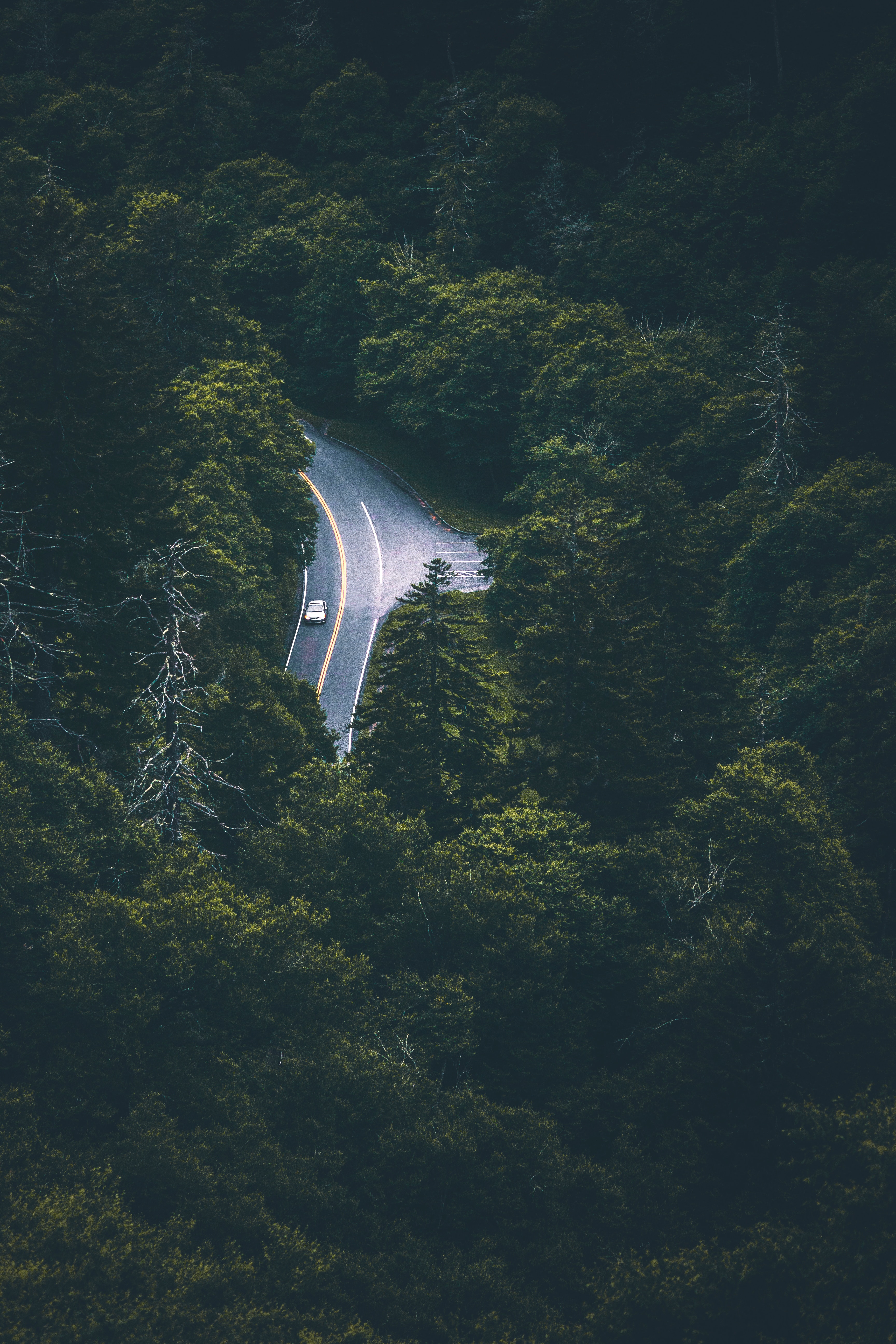 road, movement, nature, trees, view from above, car, traffic 5K