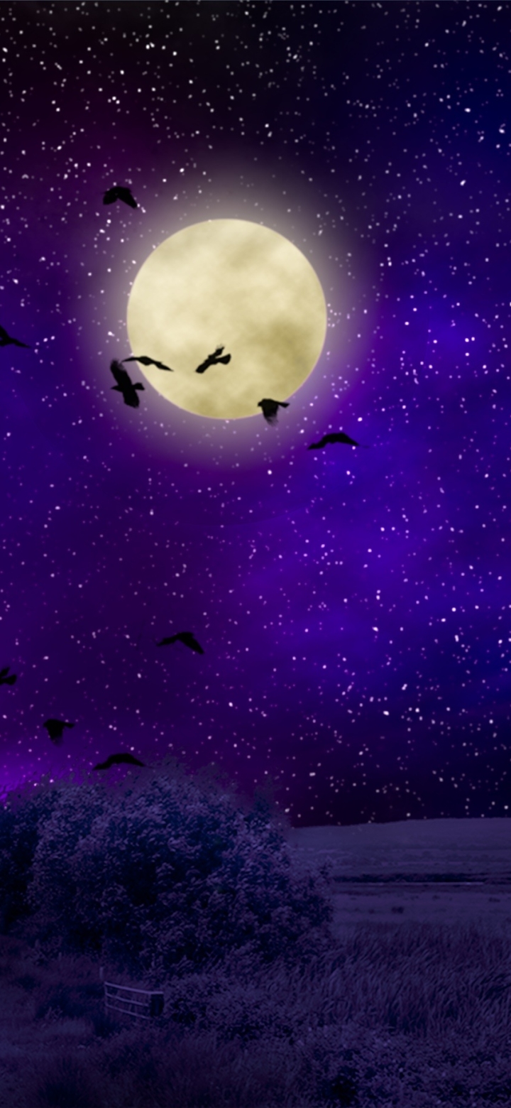 Download mobile wallpaper Sky, Moon, Purple, Artistic, Full Moon for free.
