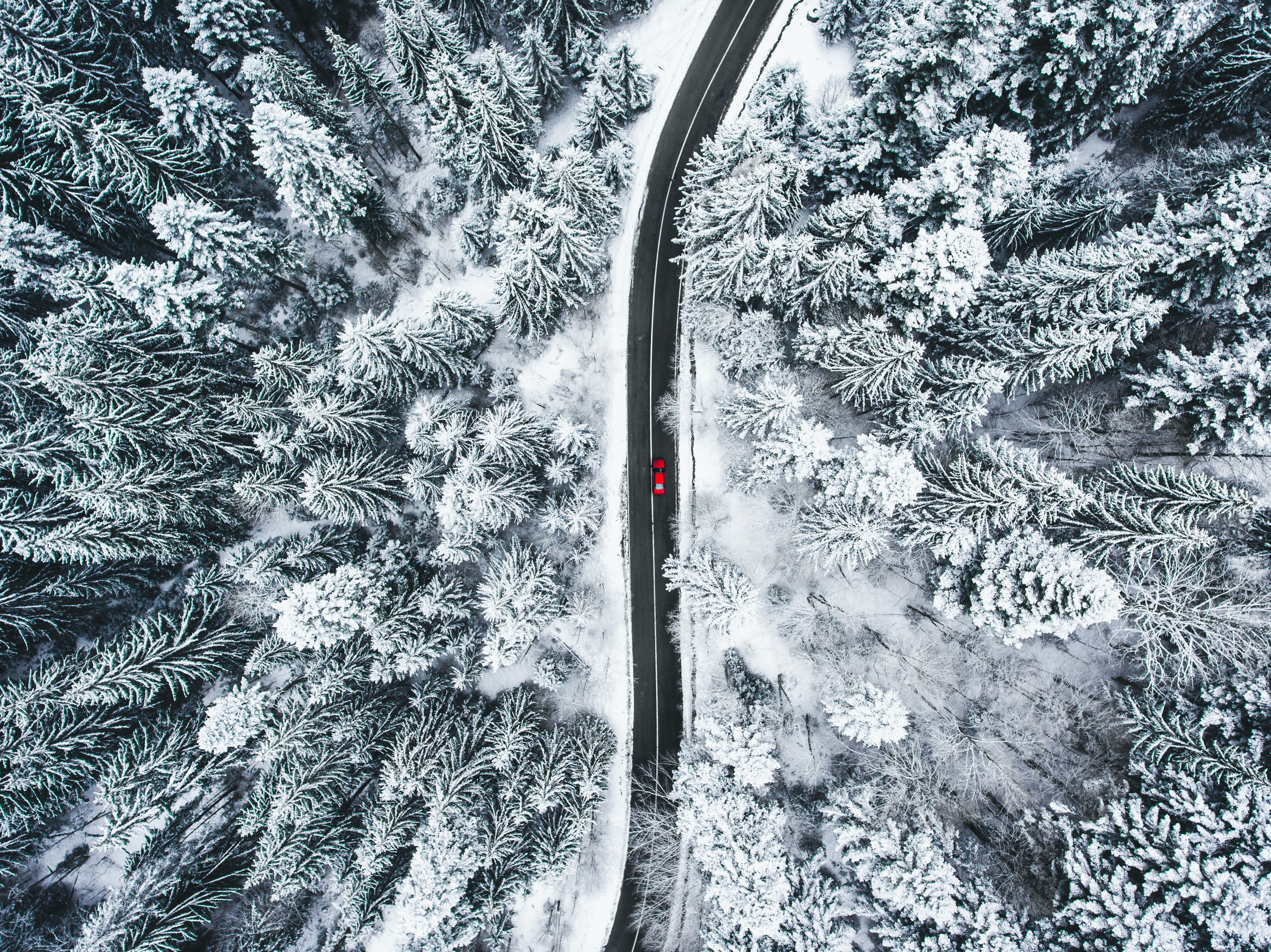 snow, road, view from above, nature, forest, car, machine