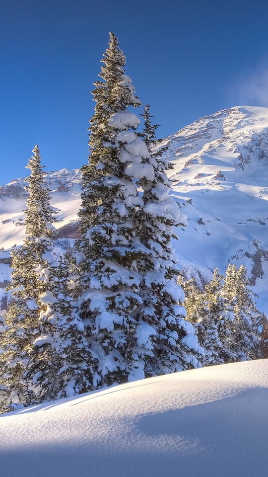 Descarga gratuita de fondo de pantalla para móvil de Invierno, Tierra/naturaleza.