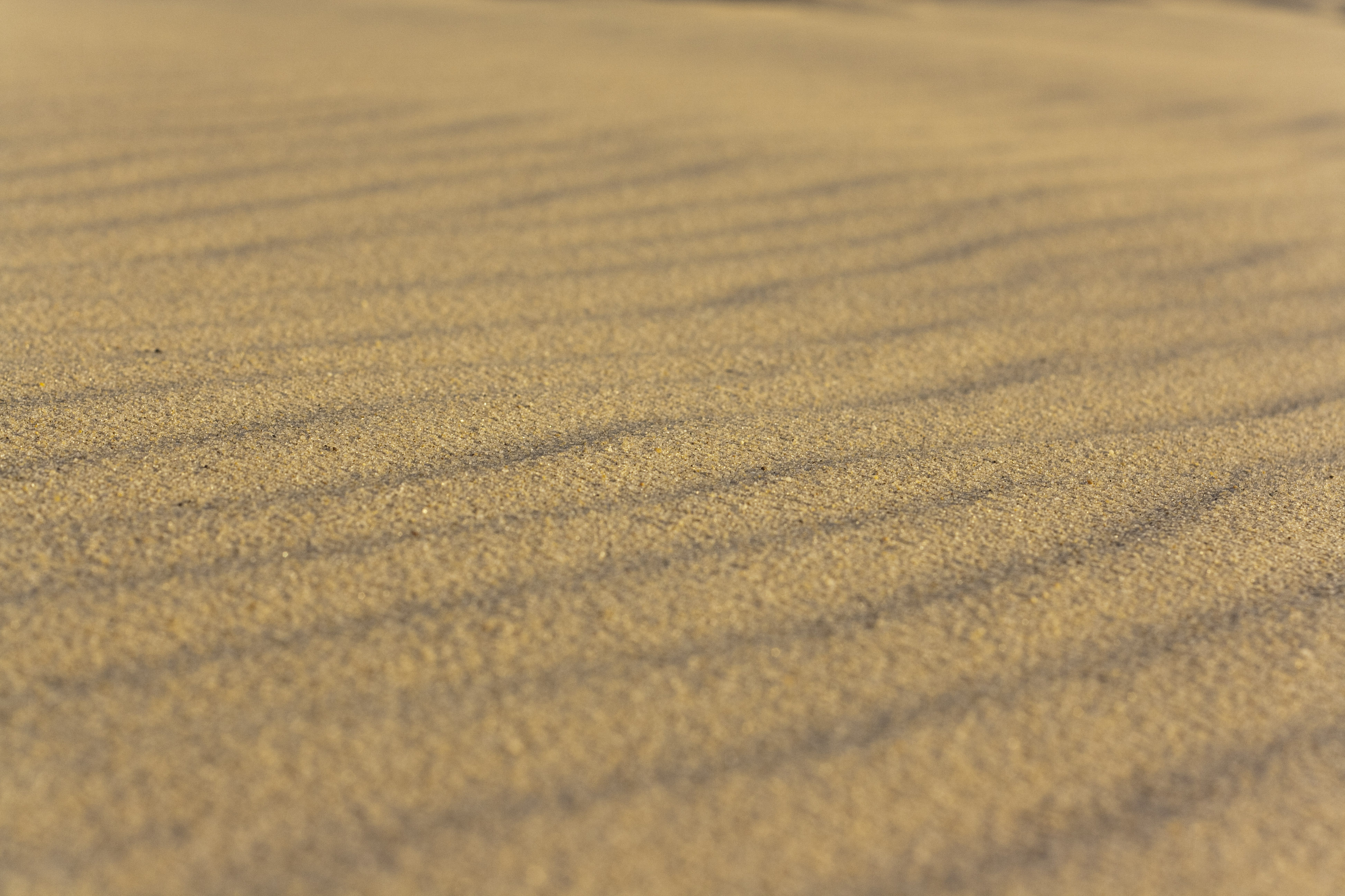 80469 скачать обои песок, пустыня, текстуры, волнистый, частицы - заставки и картинки бесплатно