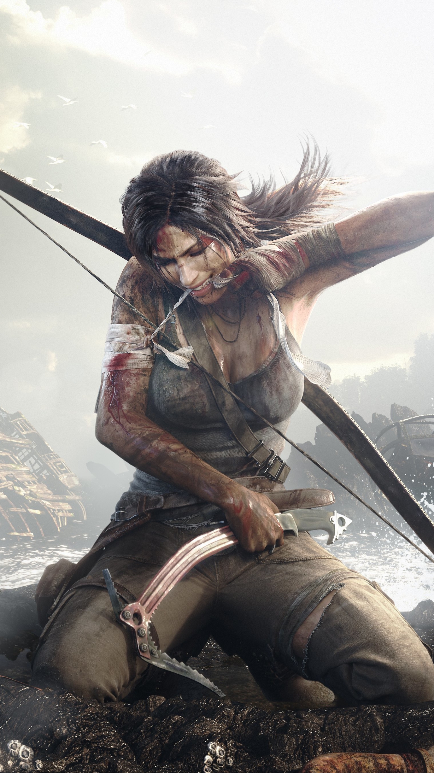 Téléchargez des papiers peints mobile Tomb Raider, Jeux Vidéo gratuitement.