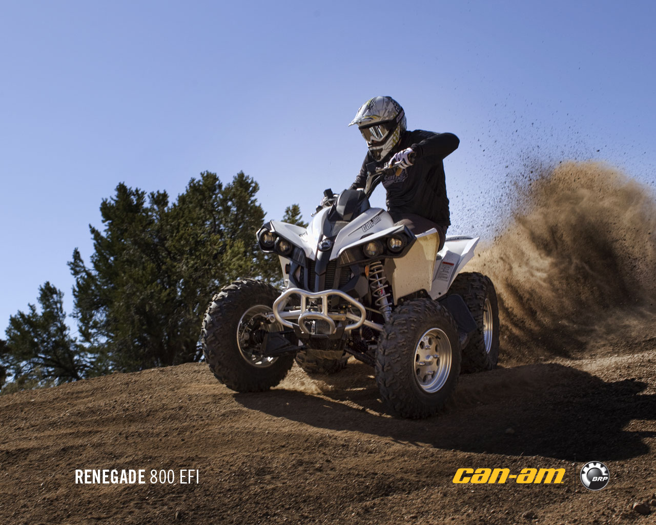 vehicles, can am