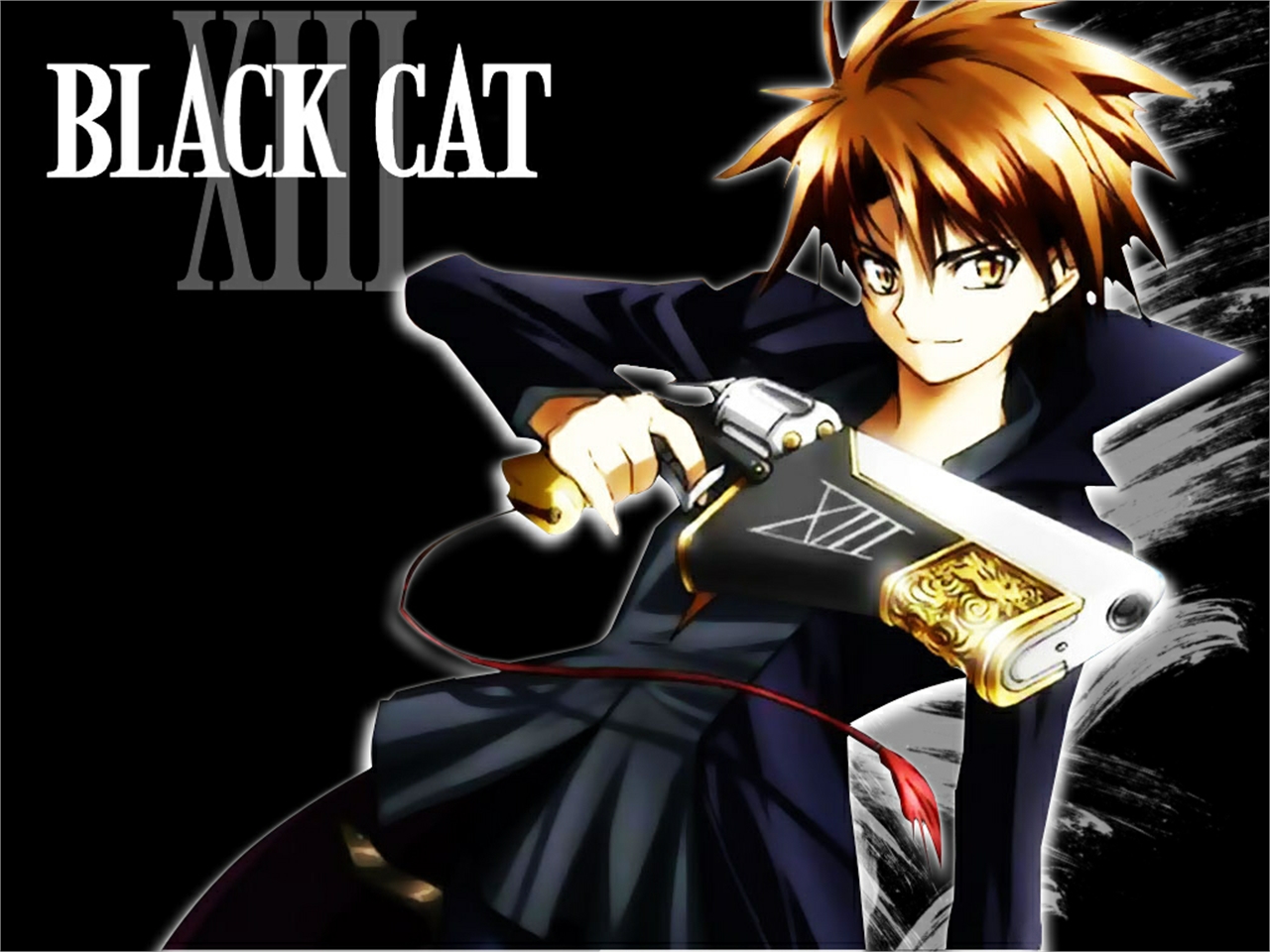 Descarga gratis la imagen Animado, El Gato Negro en el escritorio de tu PC