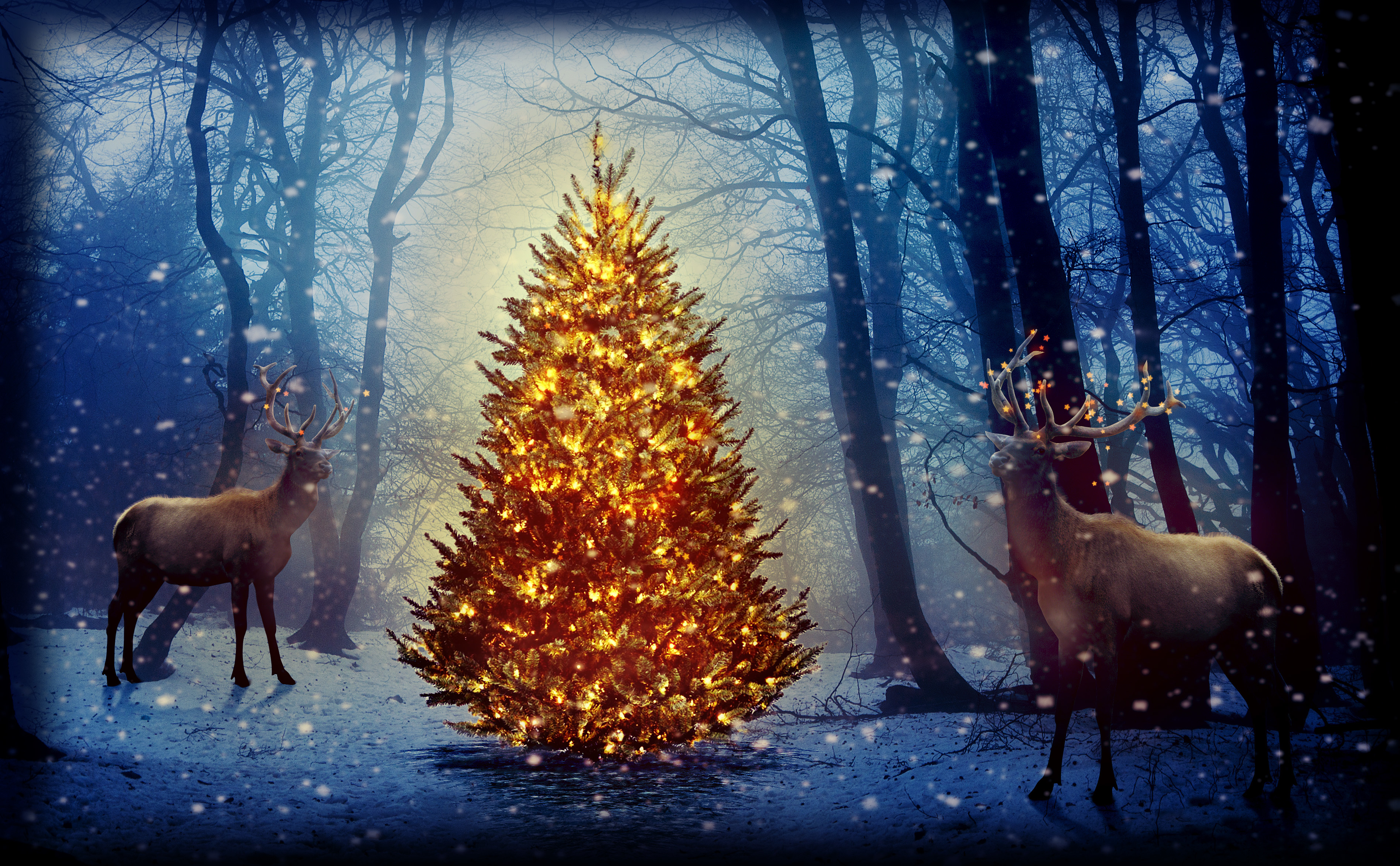 757894 скачать обои зима, лес, праздничные, рождество, бак, рождественская елка, олень, снег - заставки и картинки бесплатно