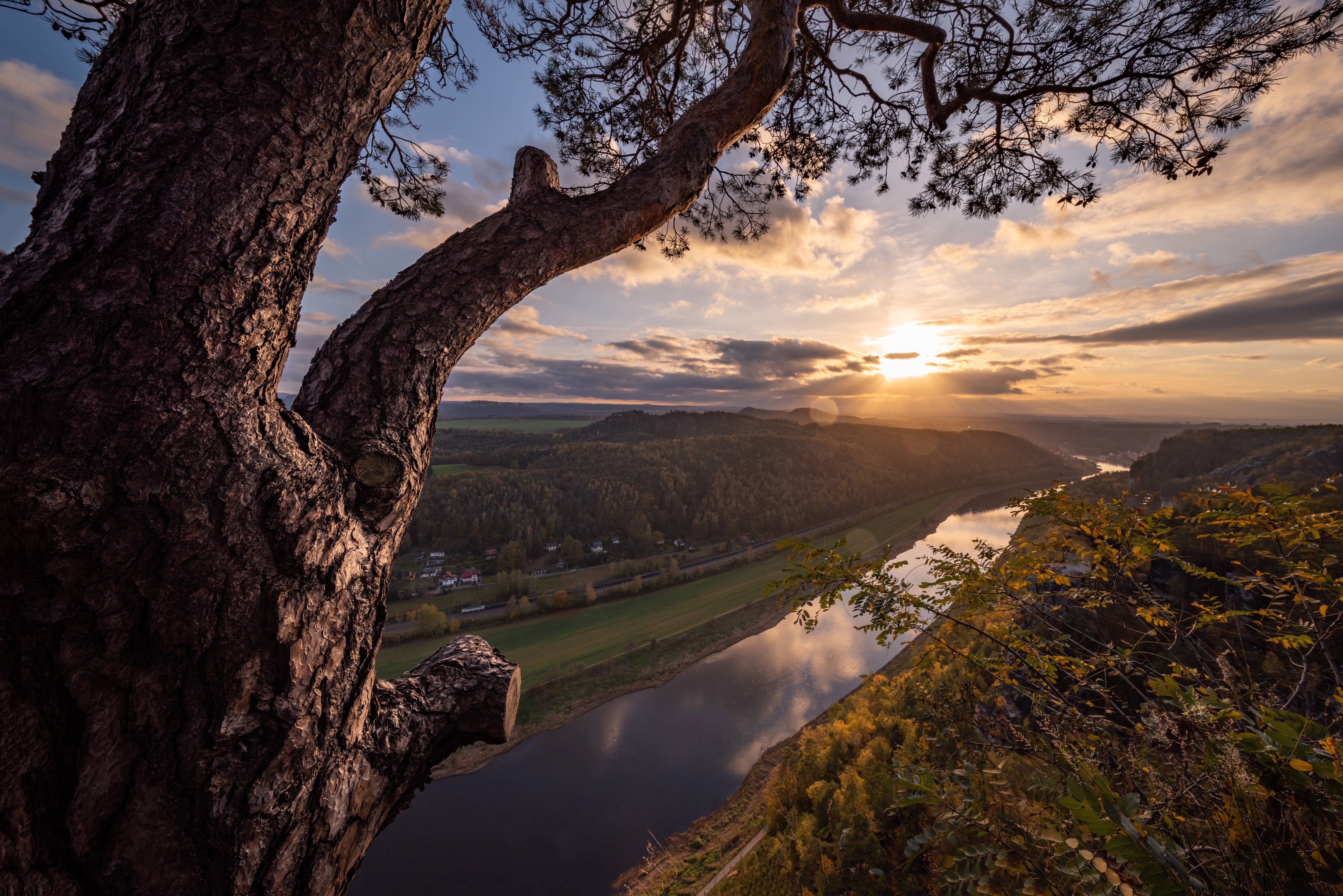 Free download wallpaper Sunset, Shore, Forest, Tree, Earth, River on your PC desktop