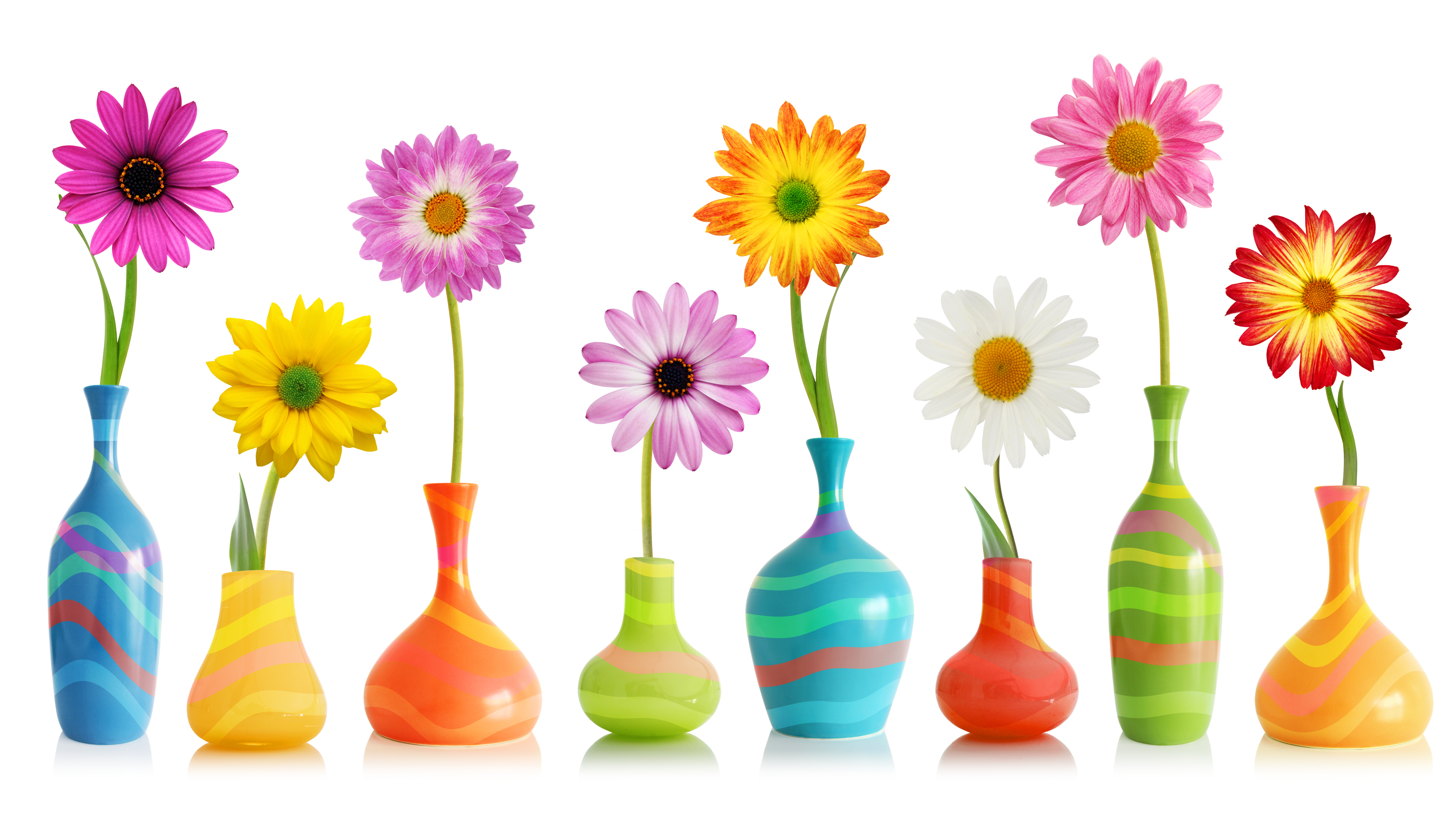 823995 завантажити шпалери ваза, створено людиною, квітка, рожева квітка, жовта квітка - заставки і картинки безкоштовно