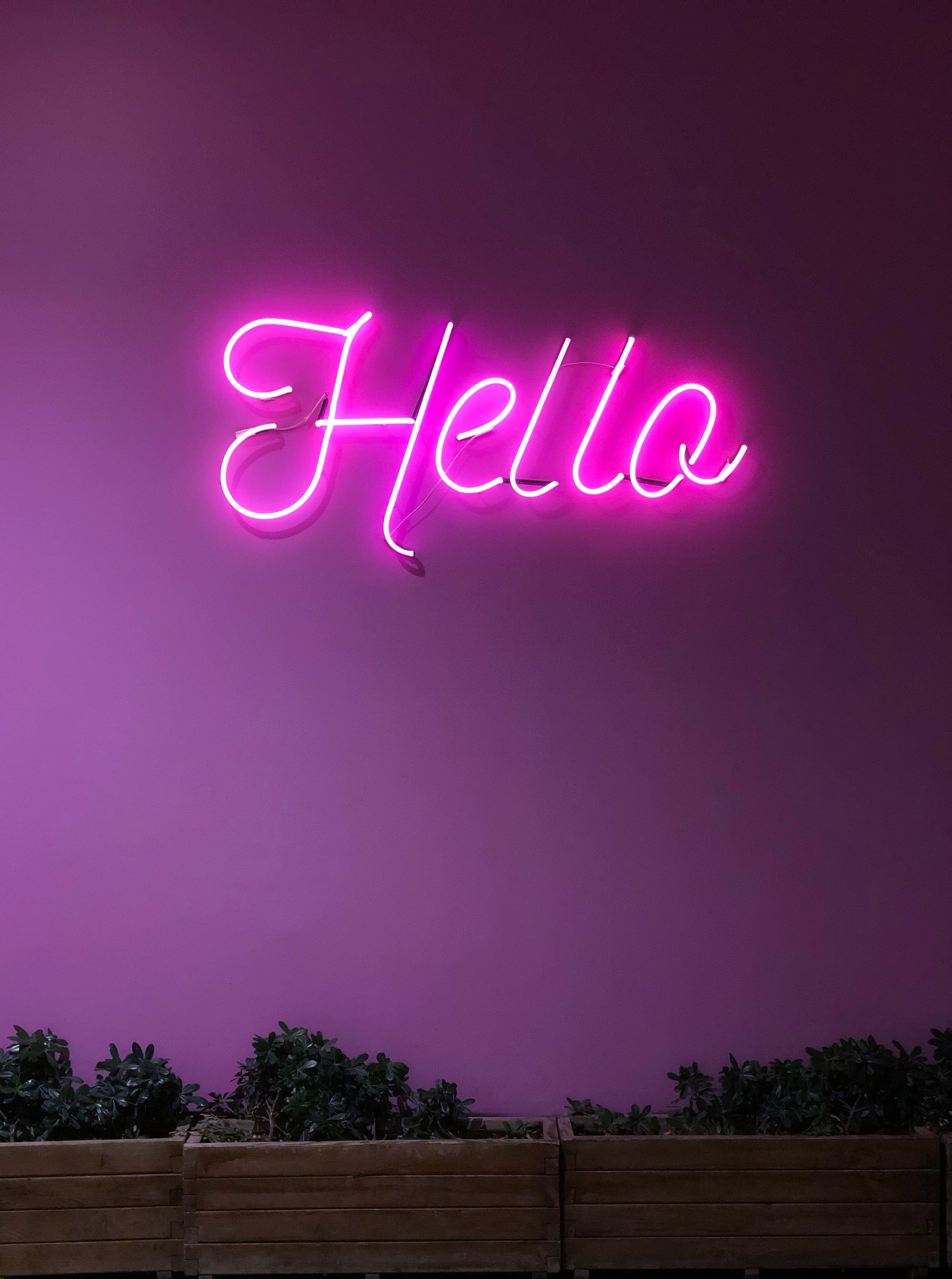 neon, words, shine, light, inscription, sign, signboard, electricity, hello