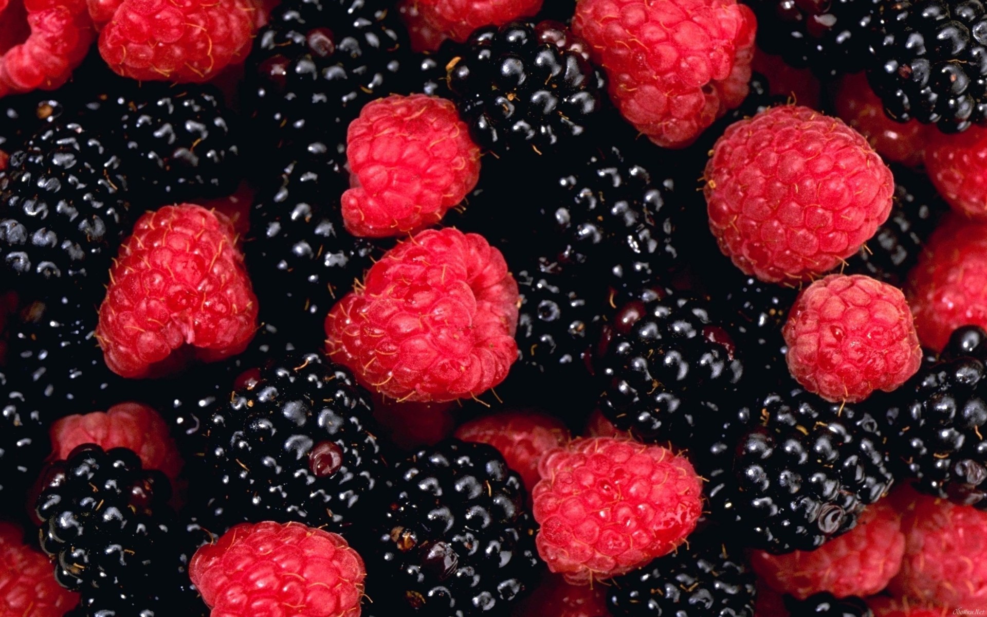 Download mobile wallpaper Food, Raspberry, Berry, Fruit for free.