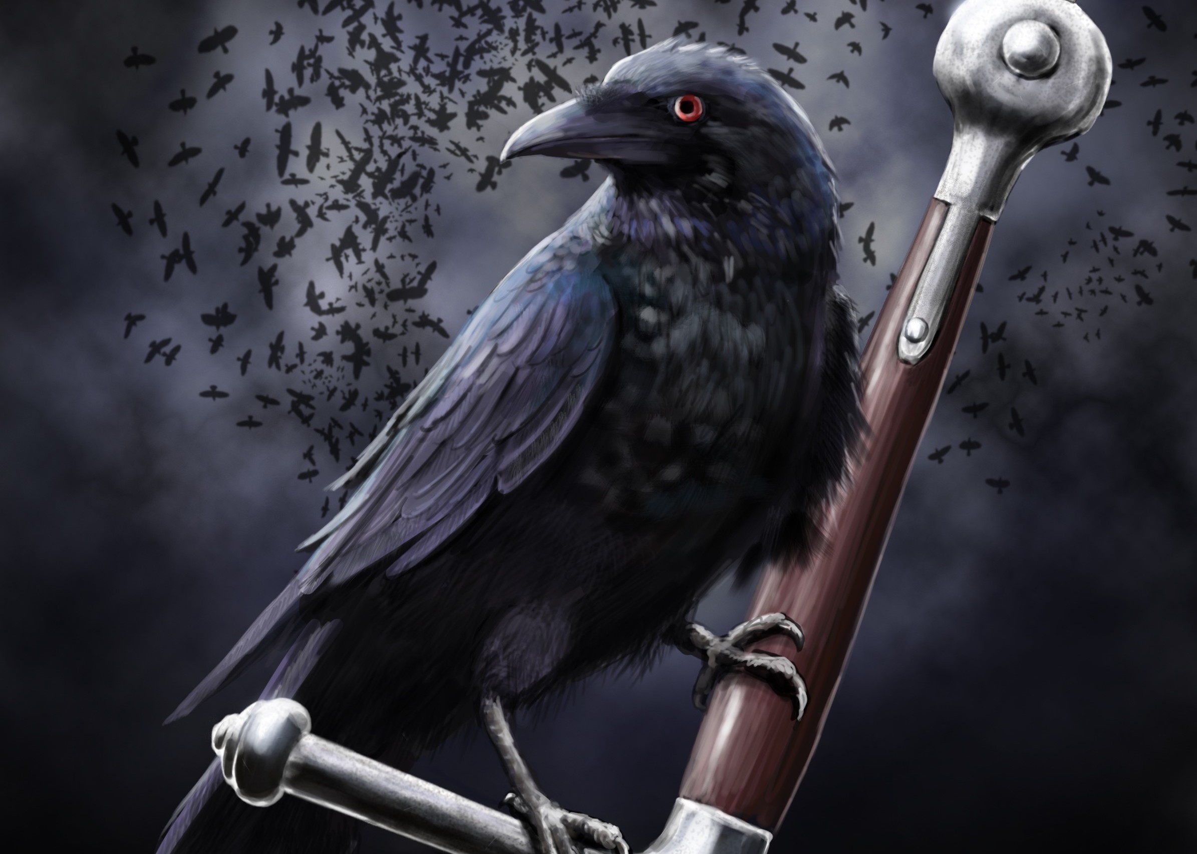 Free download wallpaper Animal, Raven, Crow on your PC desktop