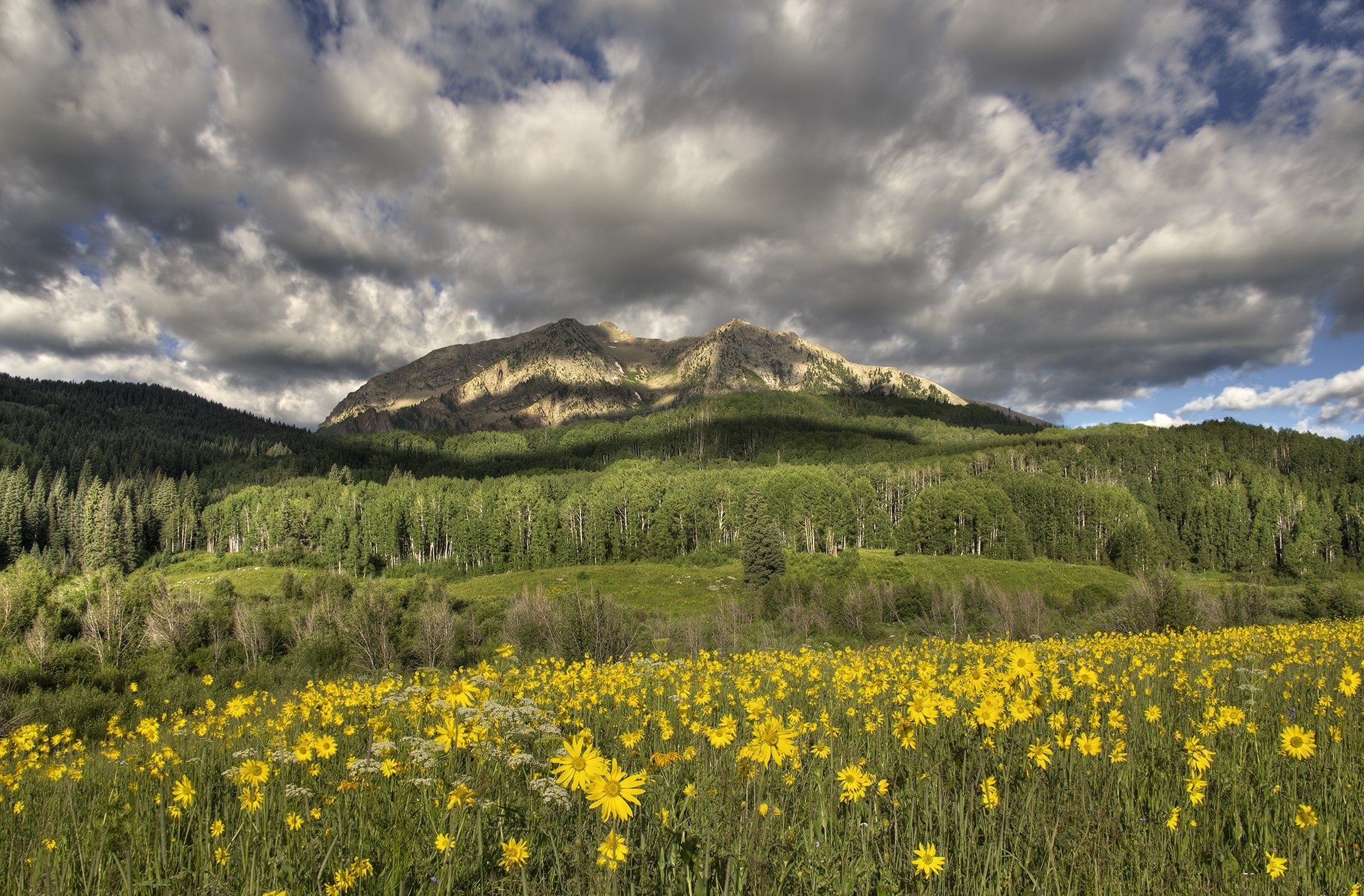 PCデスクトップに風景, 山, 地球, 牧草地, 黄色い花, クラウド画像を無料でダウンロード