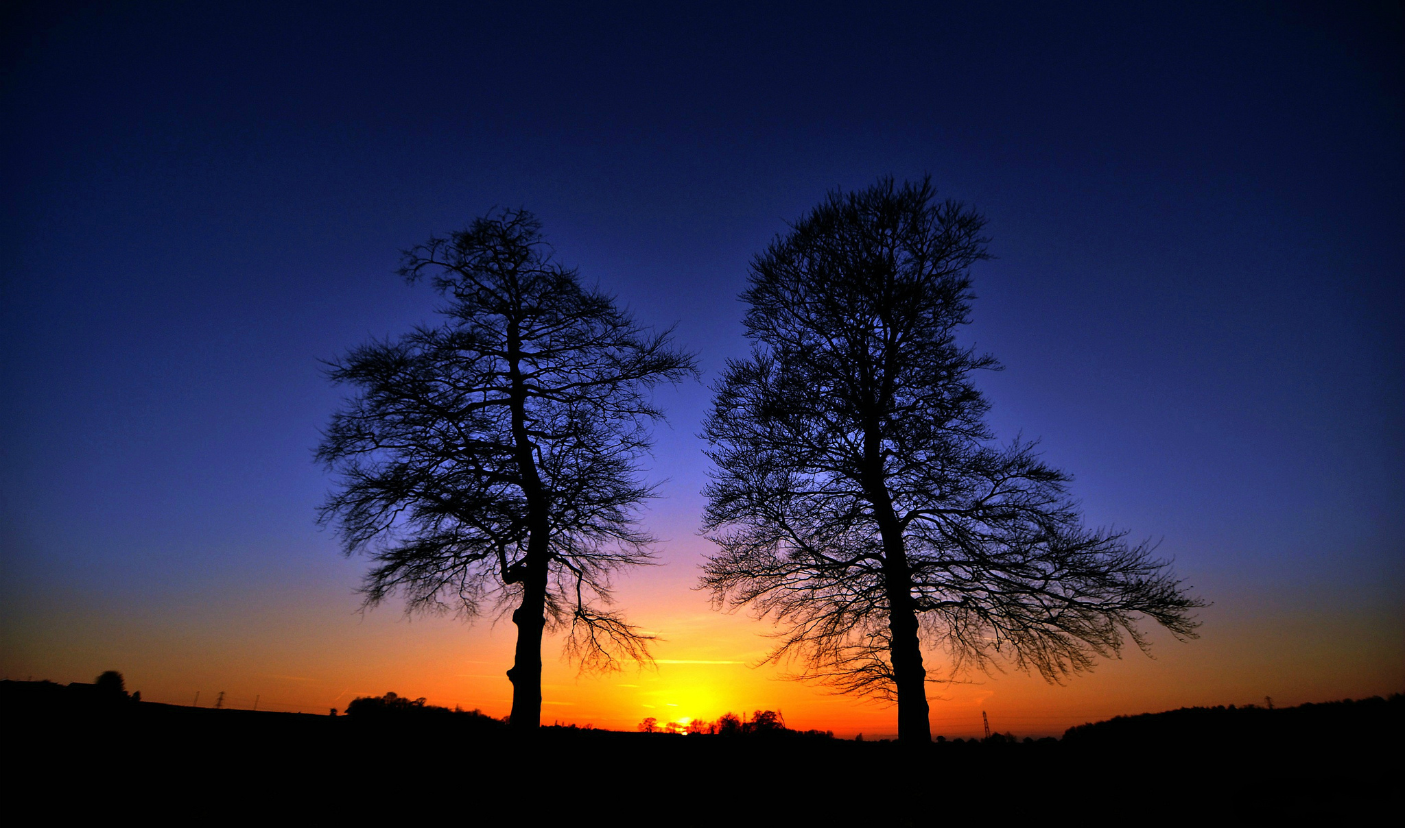 Download mobile wallpaper Nature, Sky, Silhouette, Tree, Sunrise, Earth for free.