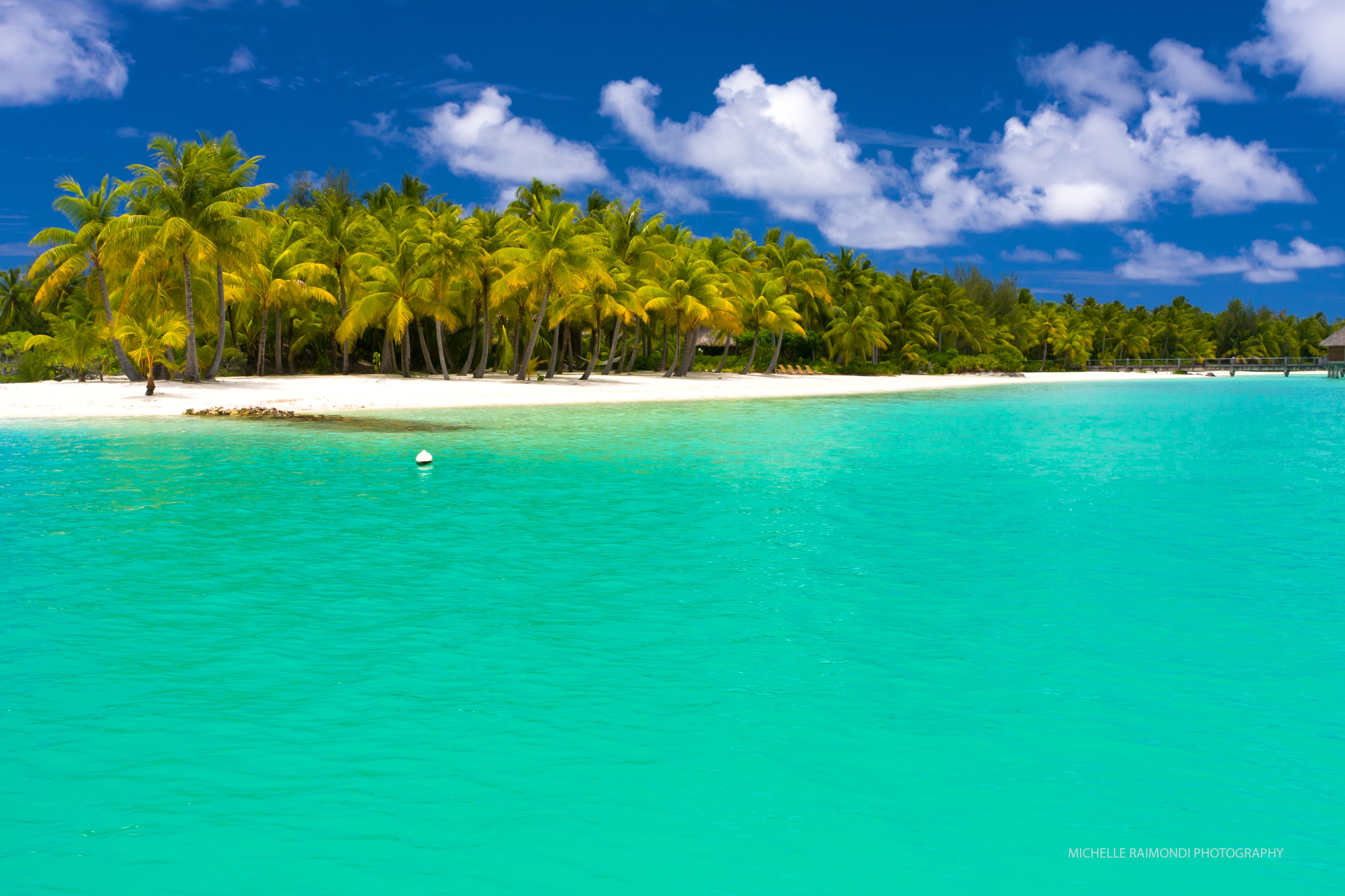 149546 baixar imagens praia, palms, natureza, verão, trópicos, maldivas - papéis de parede e protetores de tela gratuitamente