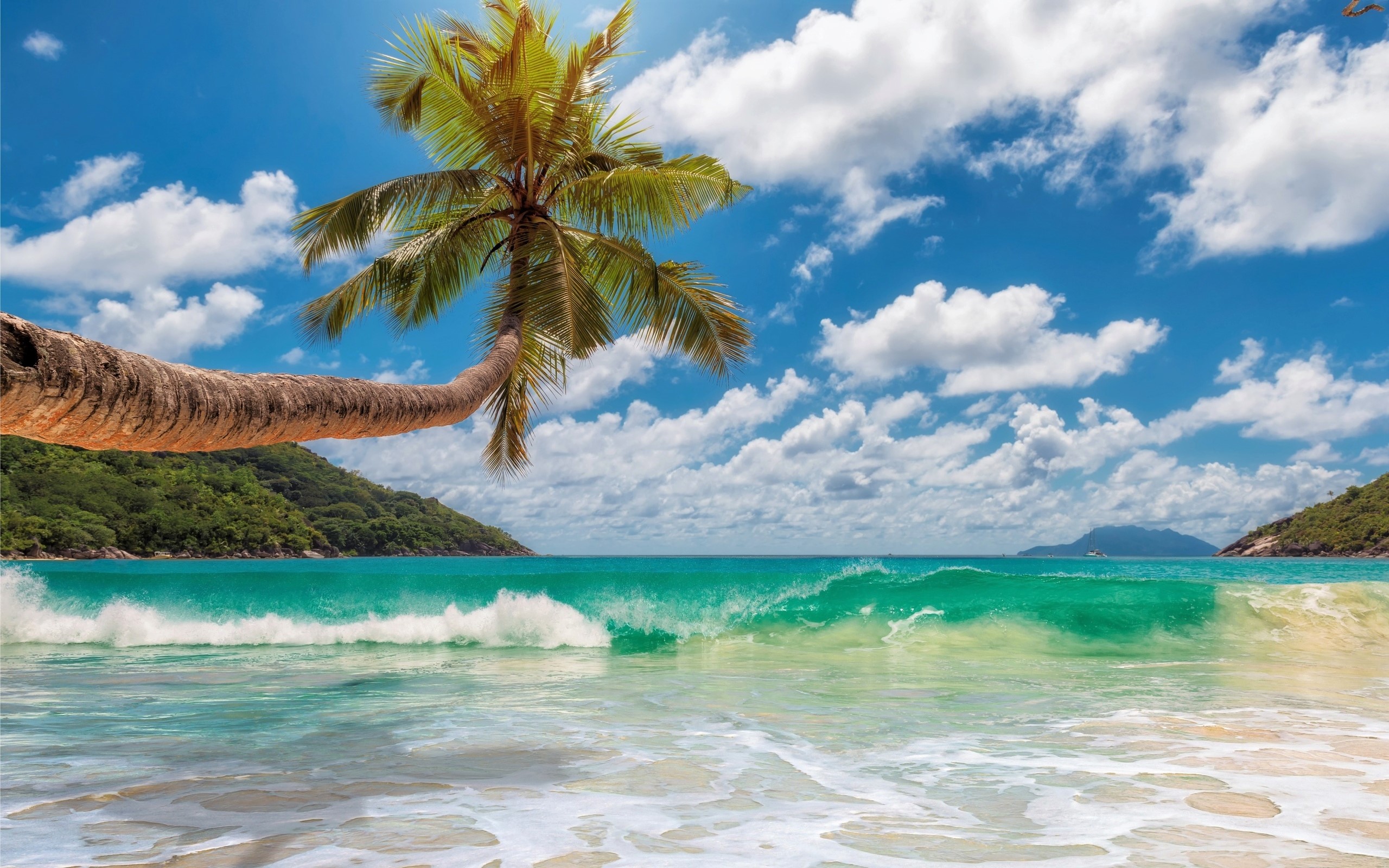 Laden Sie das Horizont, Ozean, Palme, Tropisch, Wolke, Welle, Meer, Erde/natur-Bild kostenlos auf Ihren PC-Desktop herunter