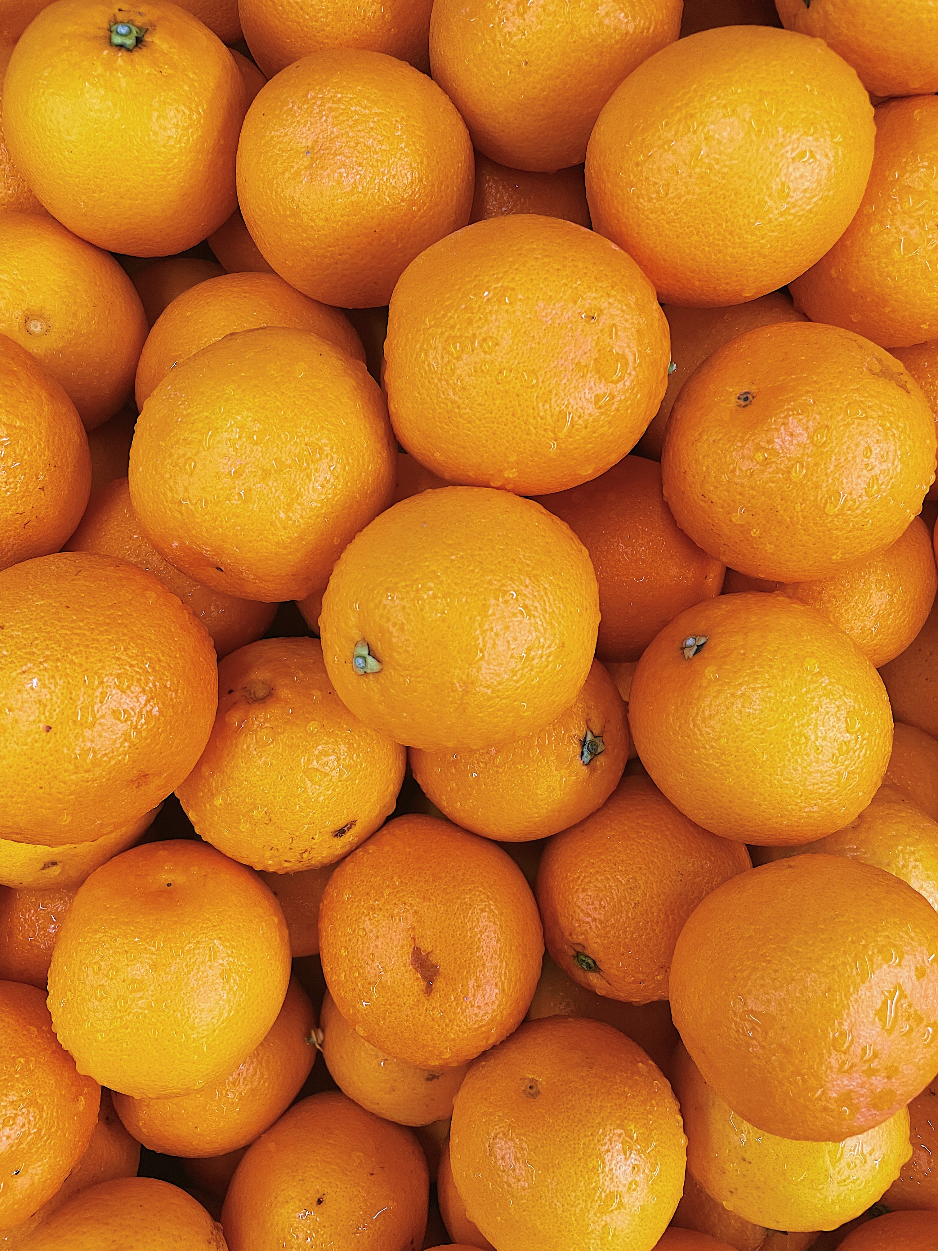 1920 x 1080 picture fruits, oranges, food, orange, wet, citrus
